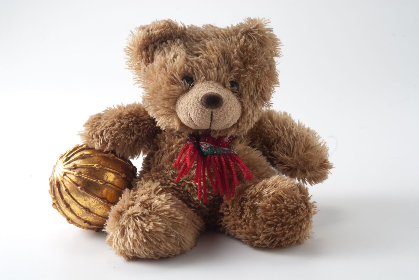 Nikon D200 sample photo. Malaysia, teddy bear, christmas photography