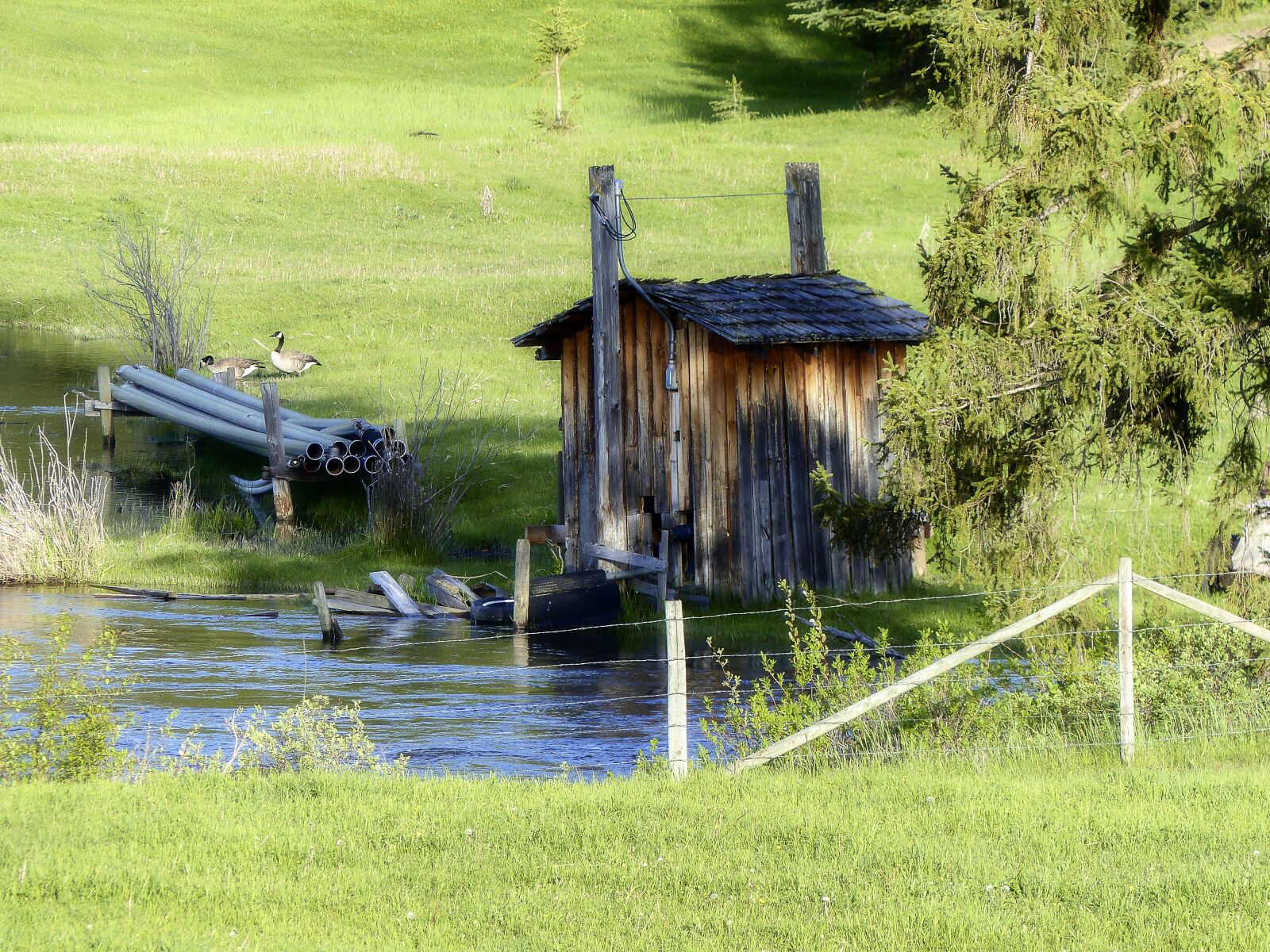 Panasonic Lumix DMC-FZ200 sample photo. Pump house, wooden, old photography