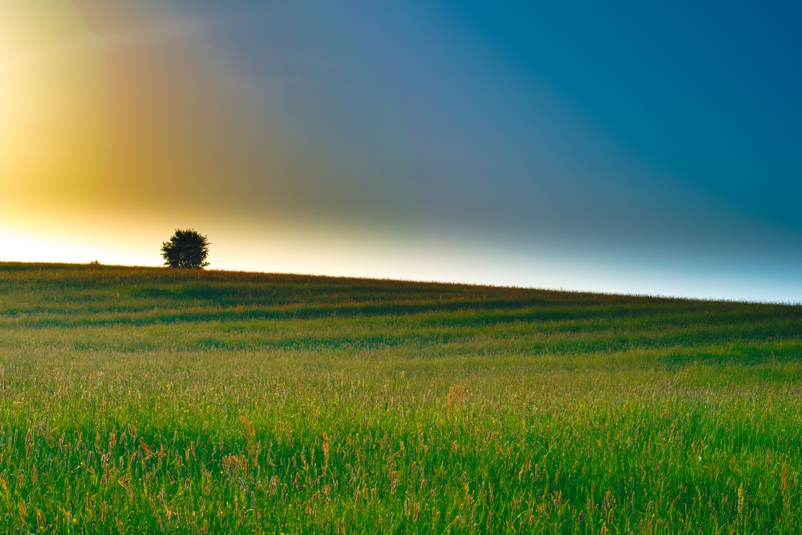 Nikon D5300 sample photo. Meadow, landscape, sky photography