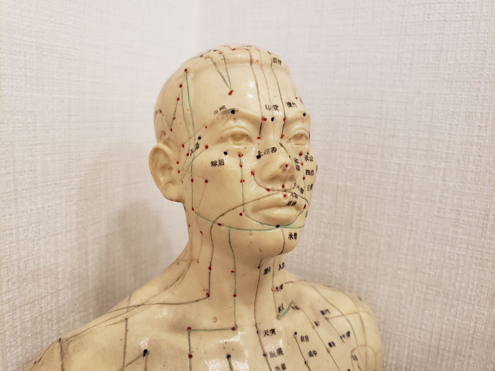 Samsung Galaxy S9 sample photo. Body, acupuncture, needle photography