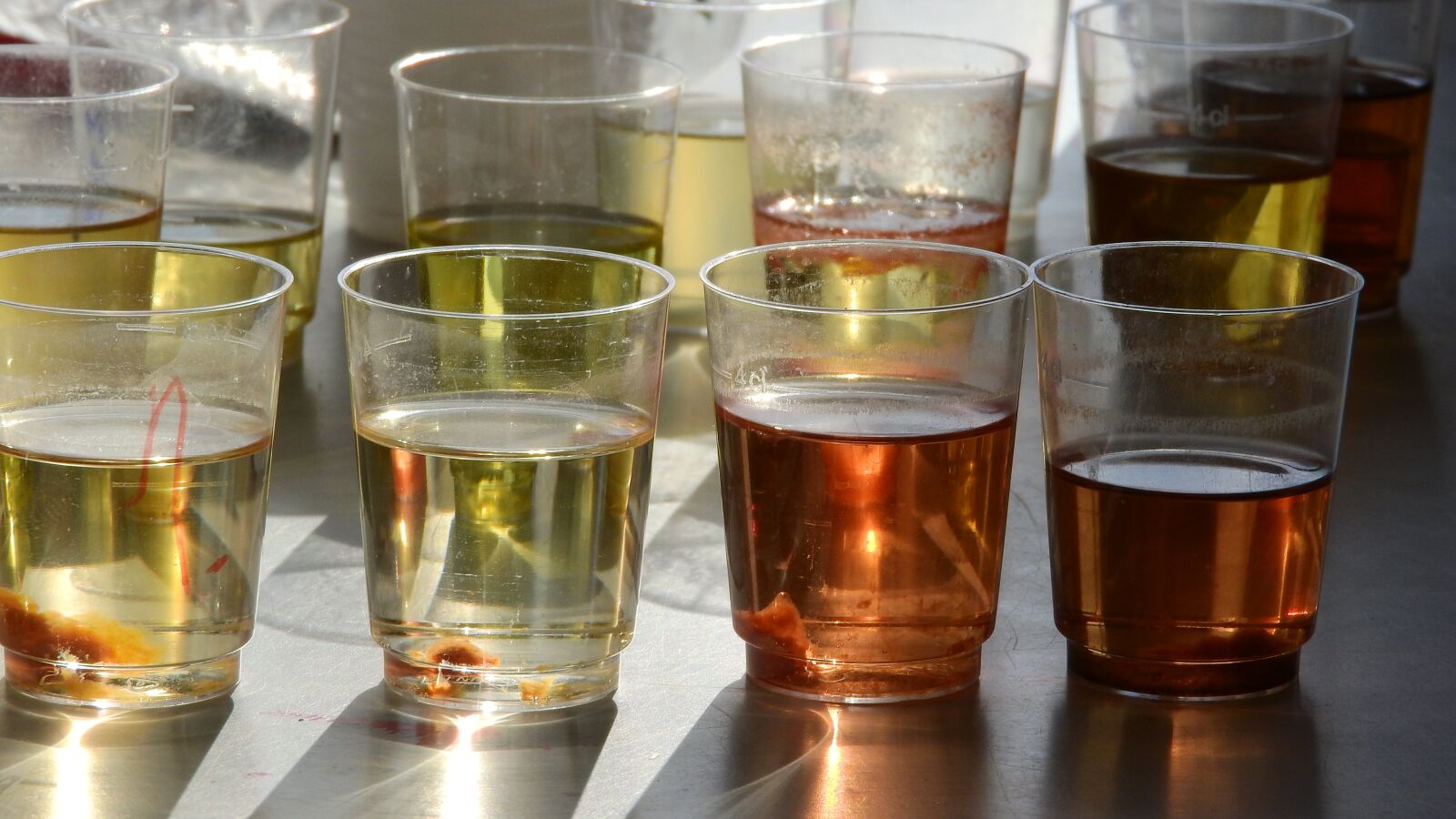 Nikon Coolpix P610 sample photo. Solution, chemistry, science photography