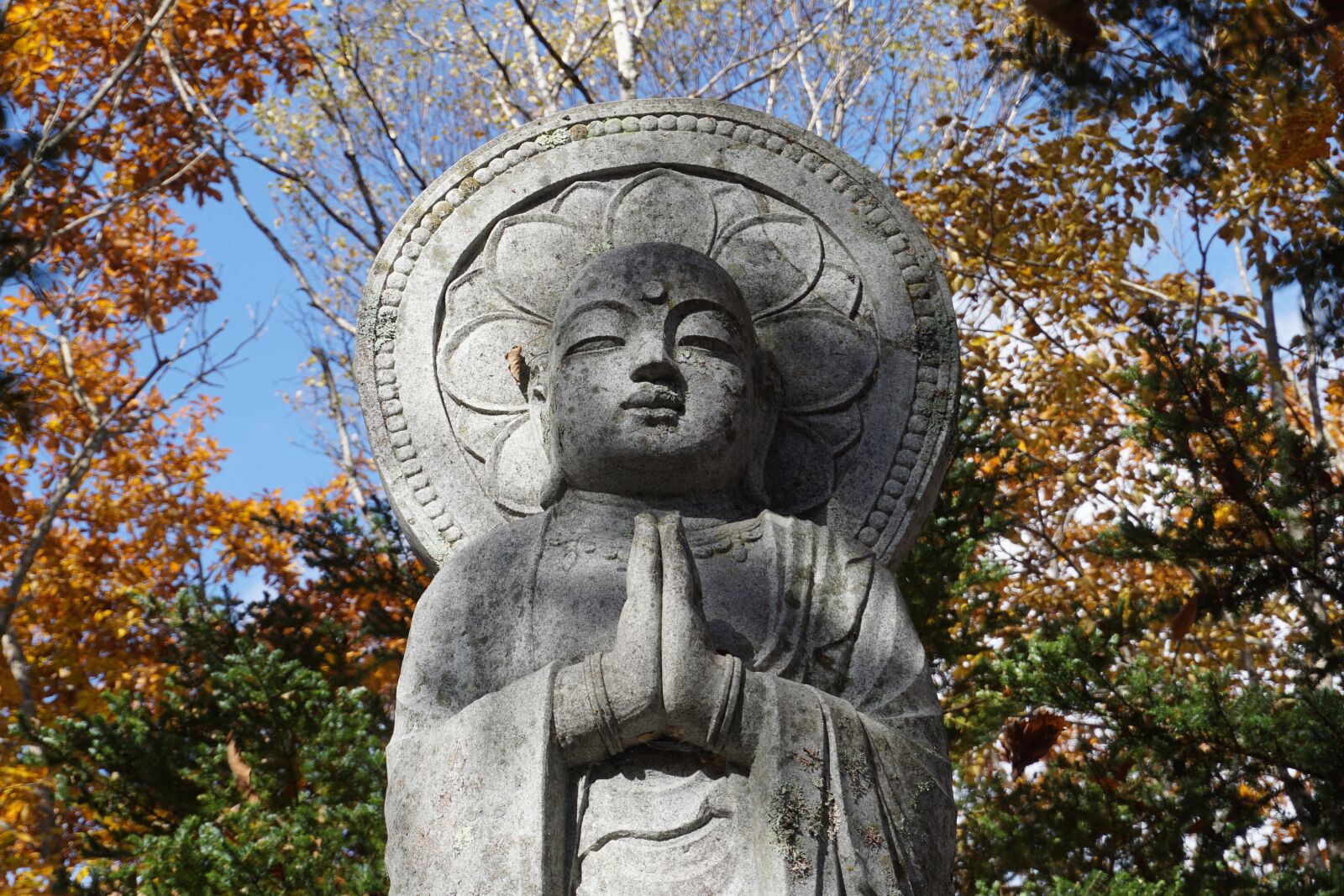 Sony a5100 sample photo. Guardian deity of children photography