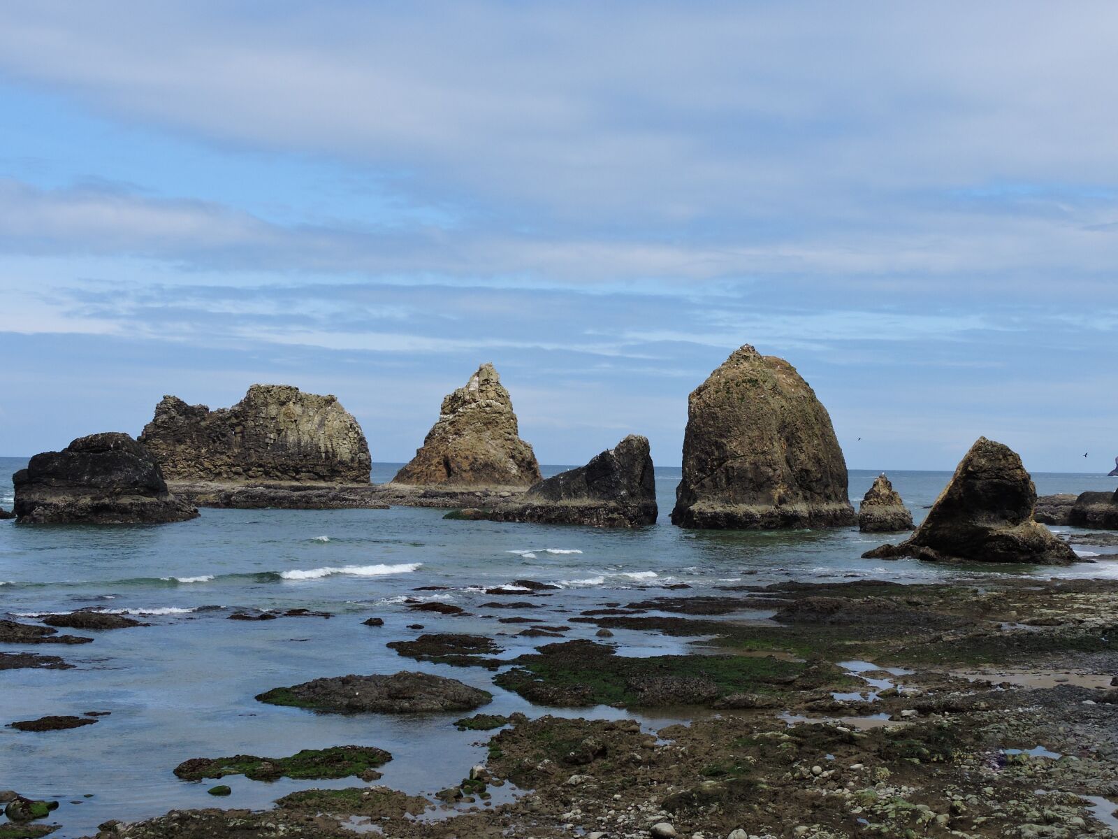 Nikon Coolpix P600 sample photo. Coast, oregon coast, ocean photography