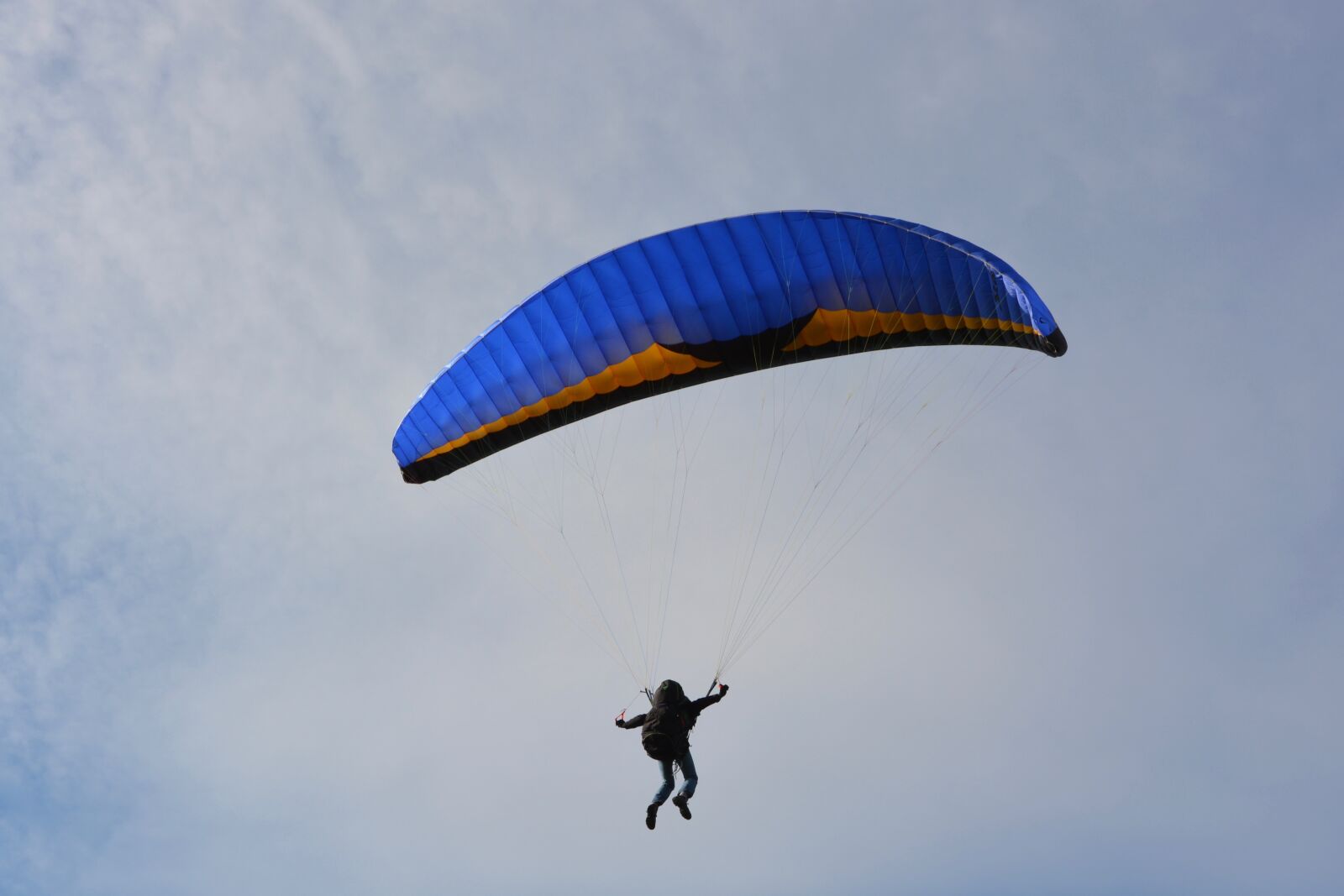 Nikon D5200 sample photo. Paragliding, sailing, wing blue photography