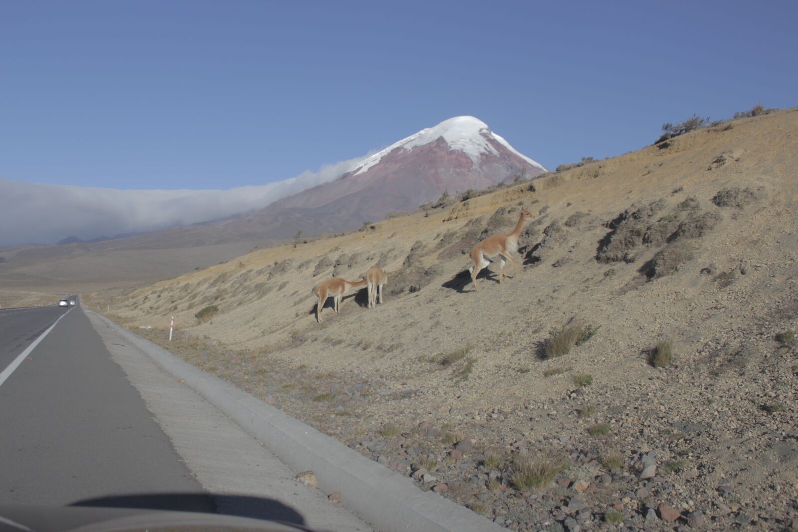 Canon EOS 700D (EOS Rebel T5i / EOS Kiss X7i) sample photo. Chimborazo, ecuador, volcano photography