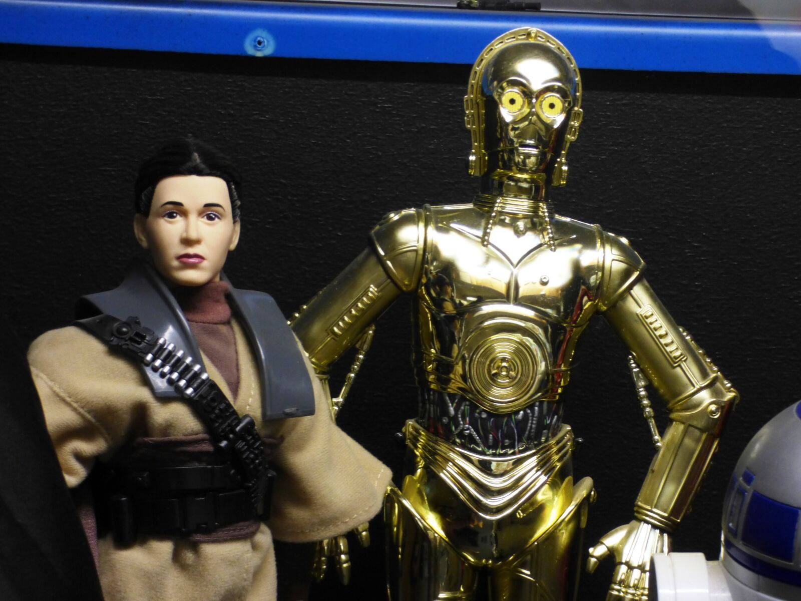 Panasonic DMC-FZ72 sample photo. C3po, star wars, robot photography