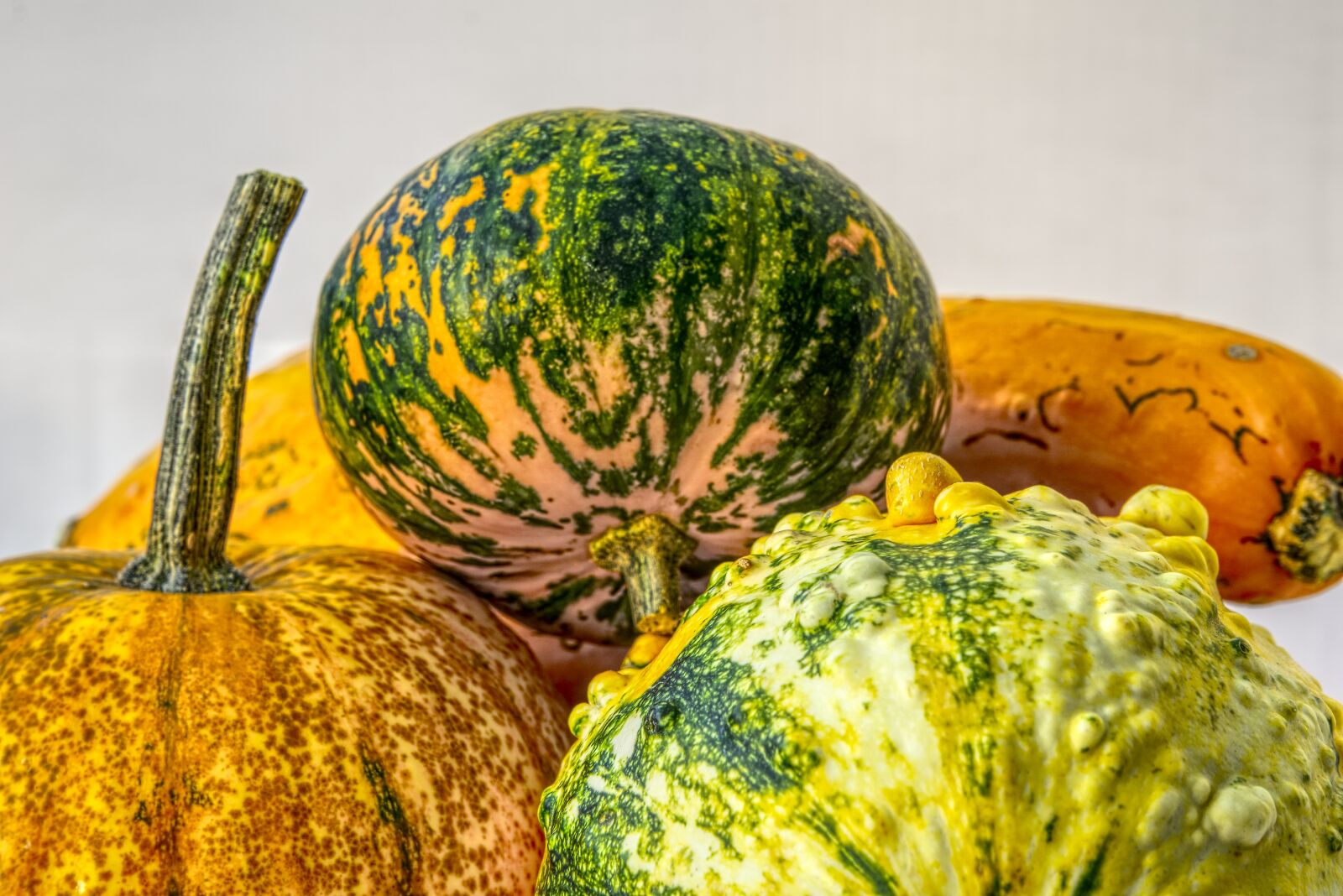 Sony a6000 sample photo. Pumpkin, decorative squashes, decoration photography