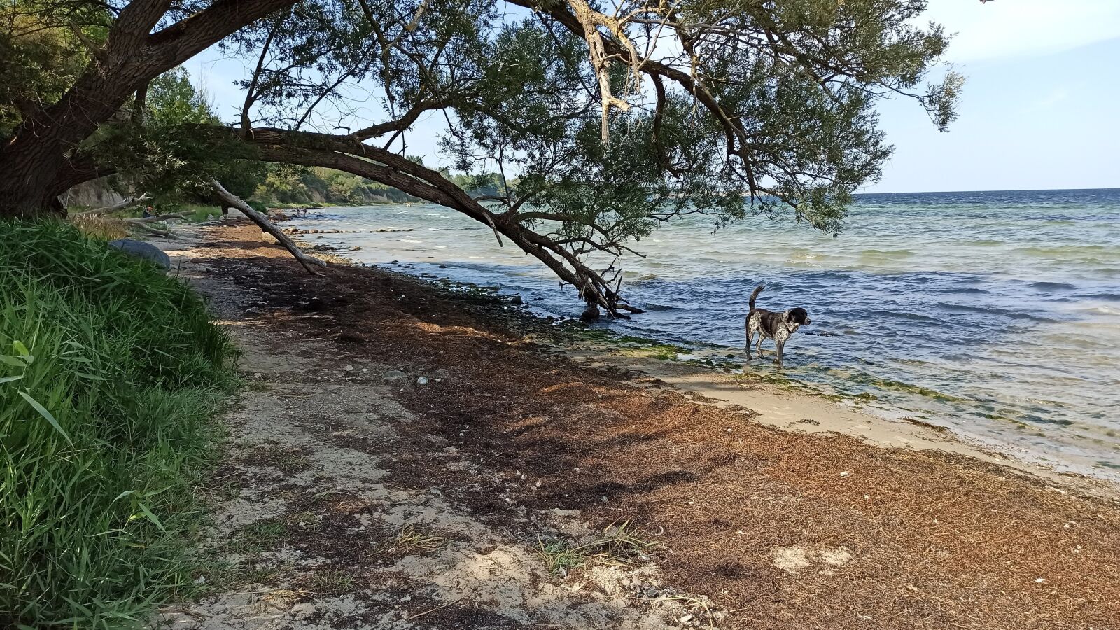 Xiaomi Redmi Note 8 Pro sample photo. Baltic sea, water, coast photography