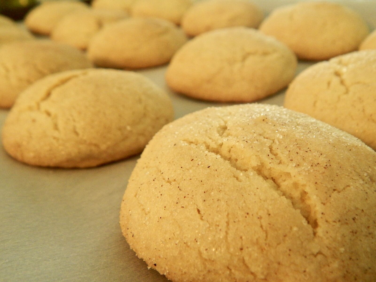Nikon Coolpix L820 sample photo. Cookies, snickerdoodle, golden brown photography