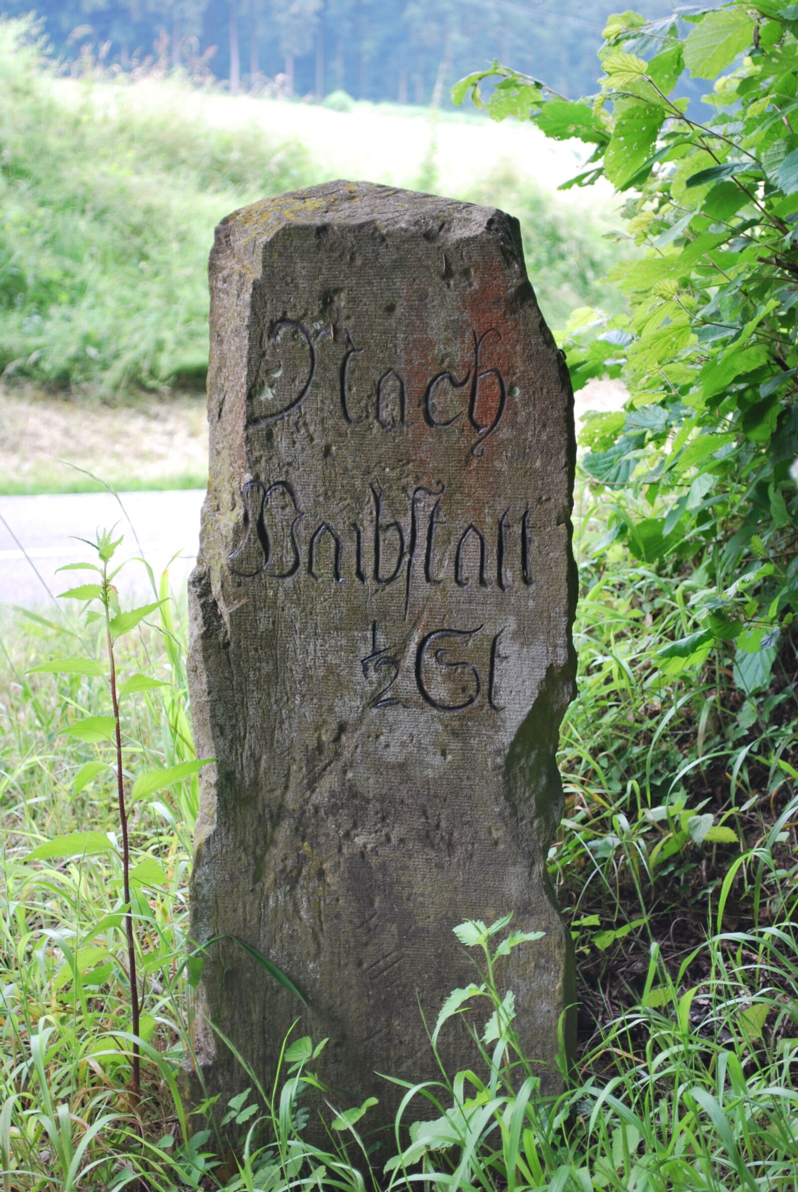 Nikon D60 sample photo. Germany, travel, vacation photography