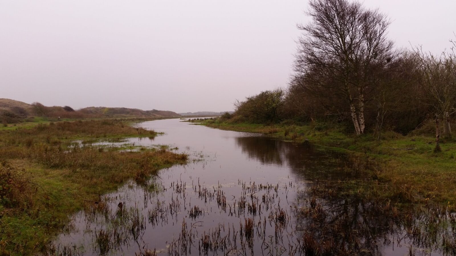 Samsung Galaxy S5 sample photo. Peat, waterpolo, landscape photography