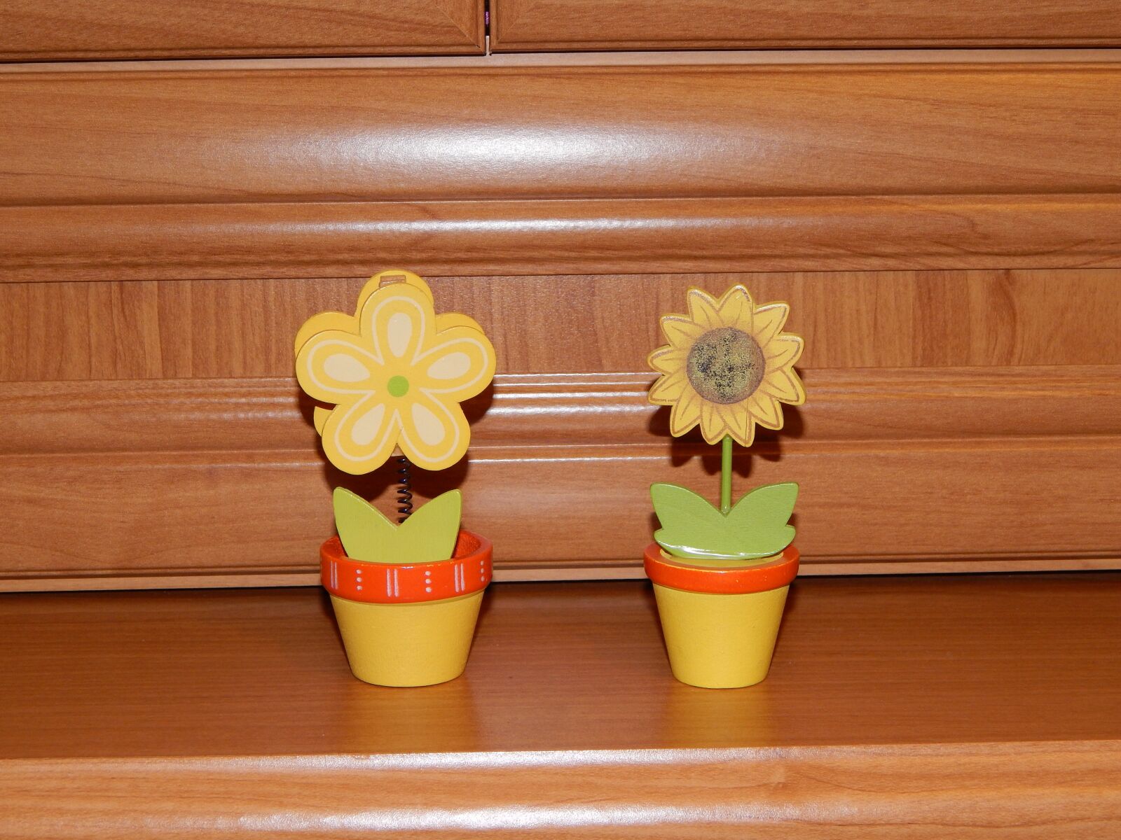 Nikon Coolpix L820 sample photo. Flowers, yellow, ornament photography