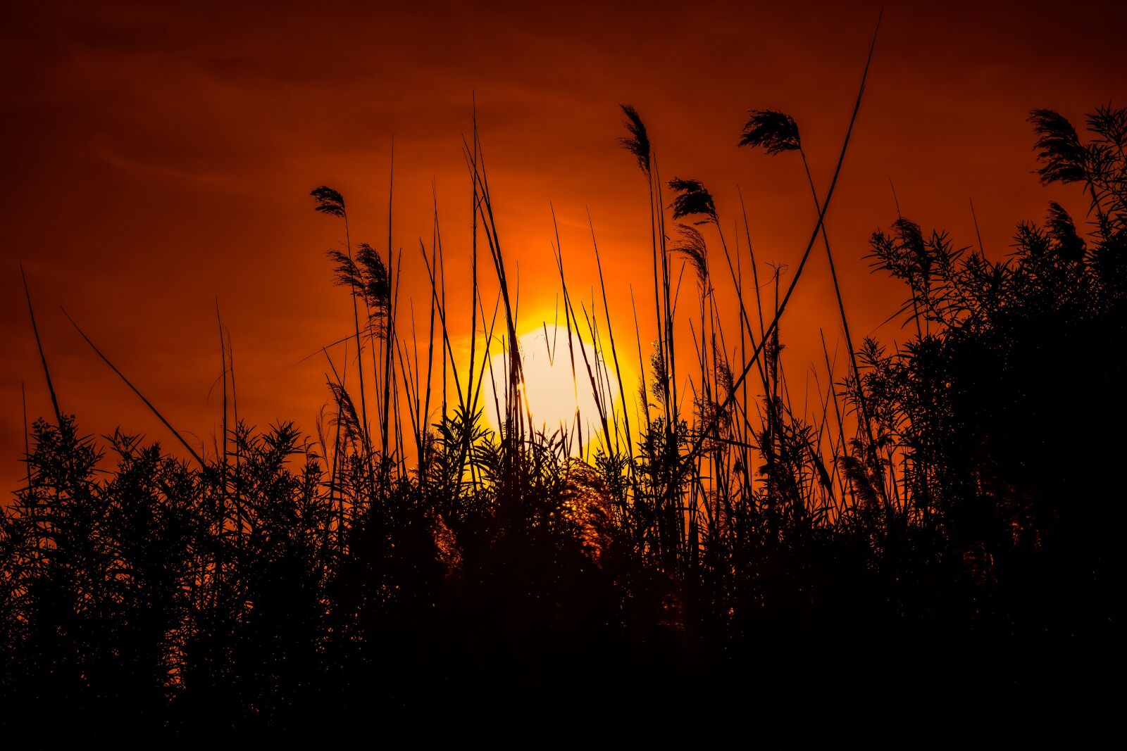 Nikon D3300 sample photo. Sunset, sun, dusk photography