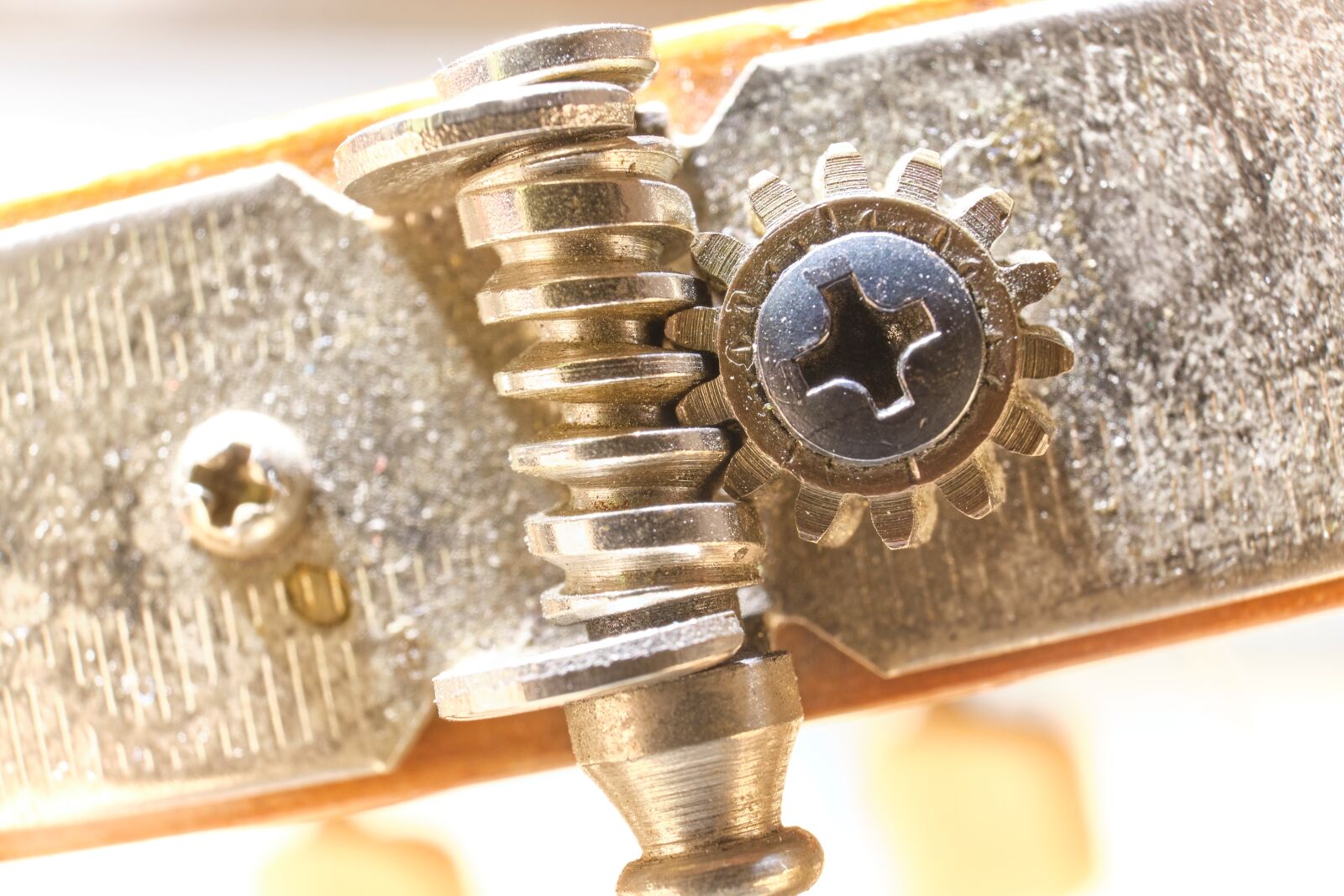 Fujifilm XF 18-55mm F2.8-4 R LM OIS sample photo. Tuning peg, mechanics, close photography