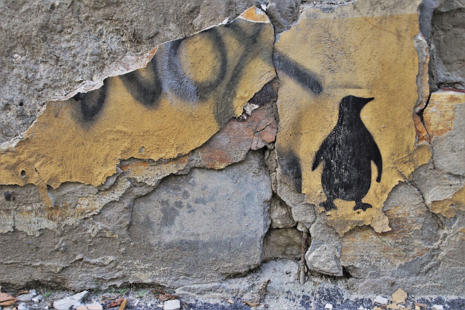 Canon EOS 80D sample photo. Old plaster, wall, walls photography