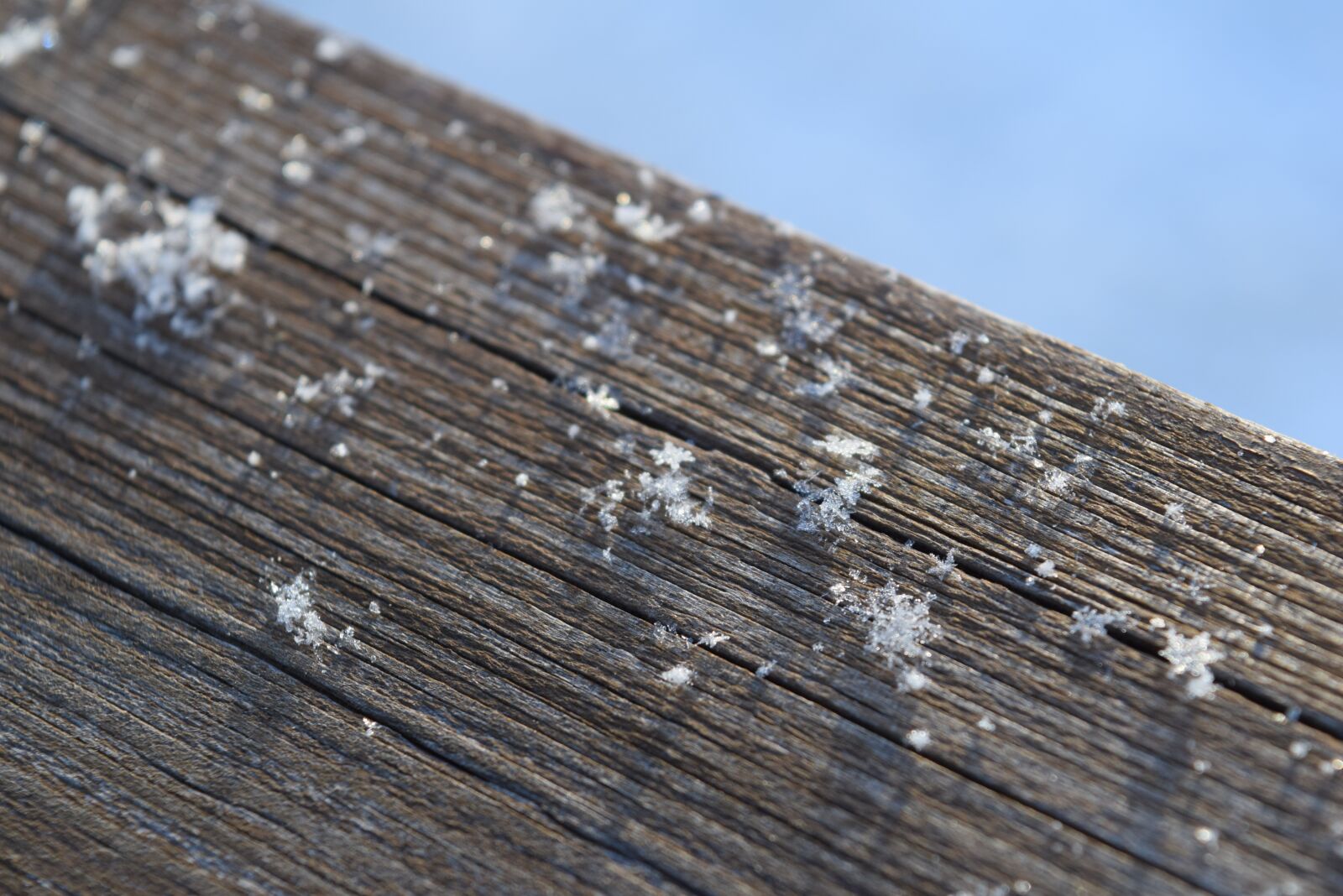 Nikon D5300 sample photo. Winter, snowflakes, the petals photography