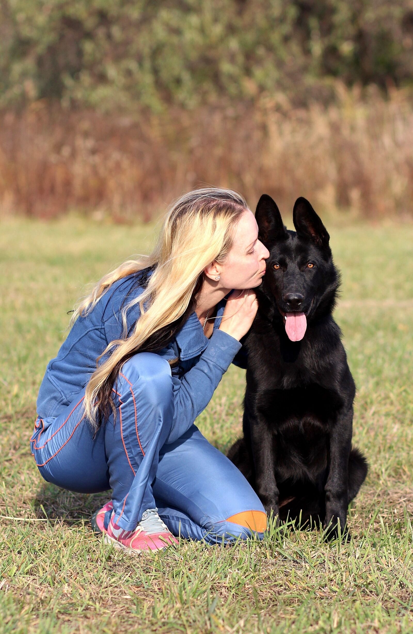 Canon EOS 600D (Rebel EOS T3i / EOS Kiss X5) sample photo. Black german shepherd, blonde photography