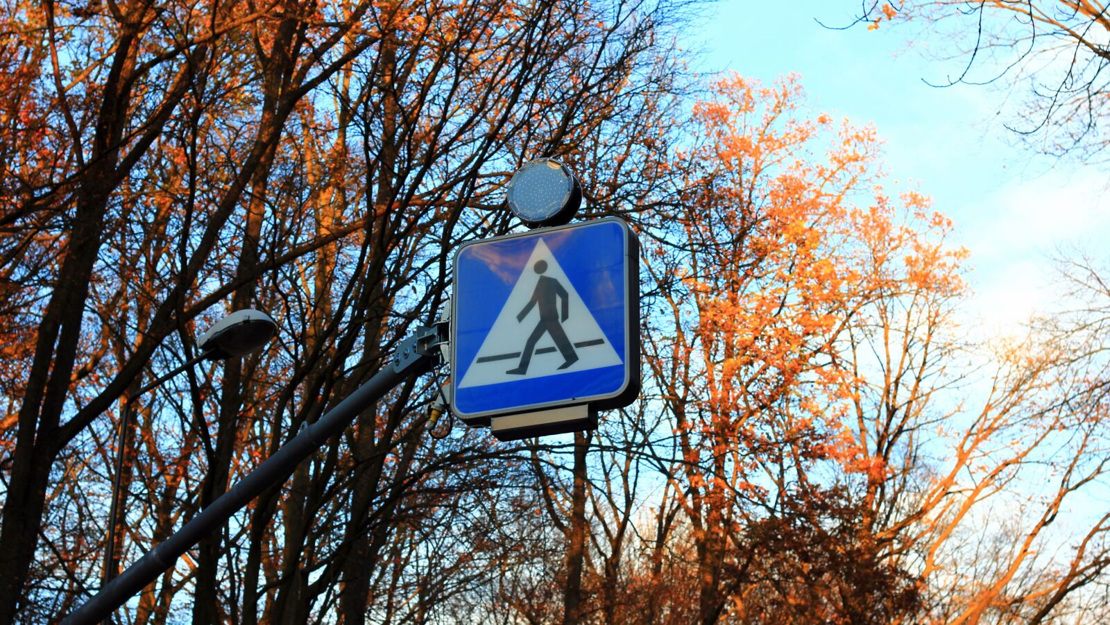 Canon EOS 60D + Canon EF 50mm F1.8 II sample photo. Pedestrian crossing, sign, way photography