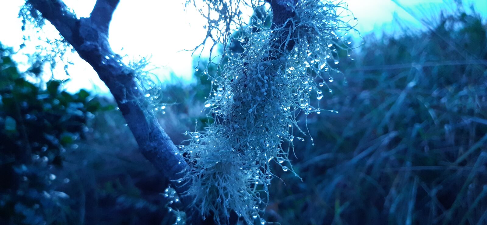Samsung Galaxy A30 sample photo. Ice, cold, night photography