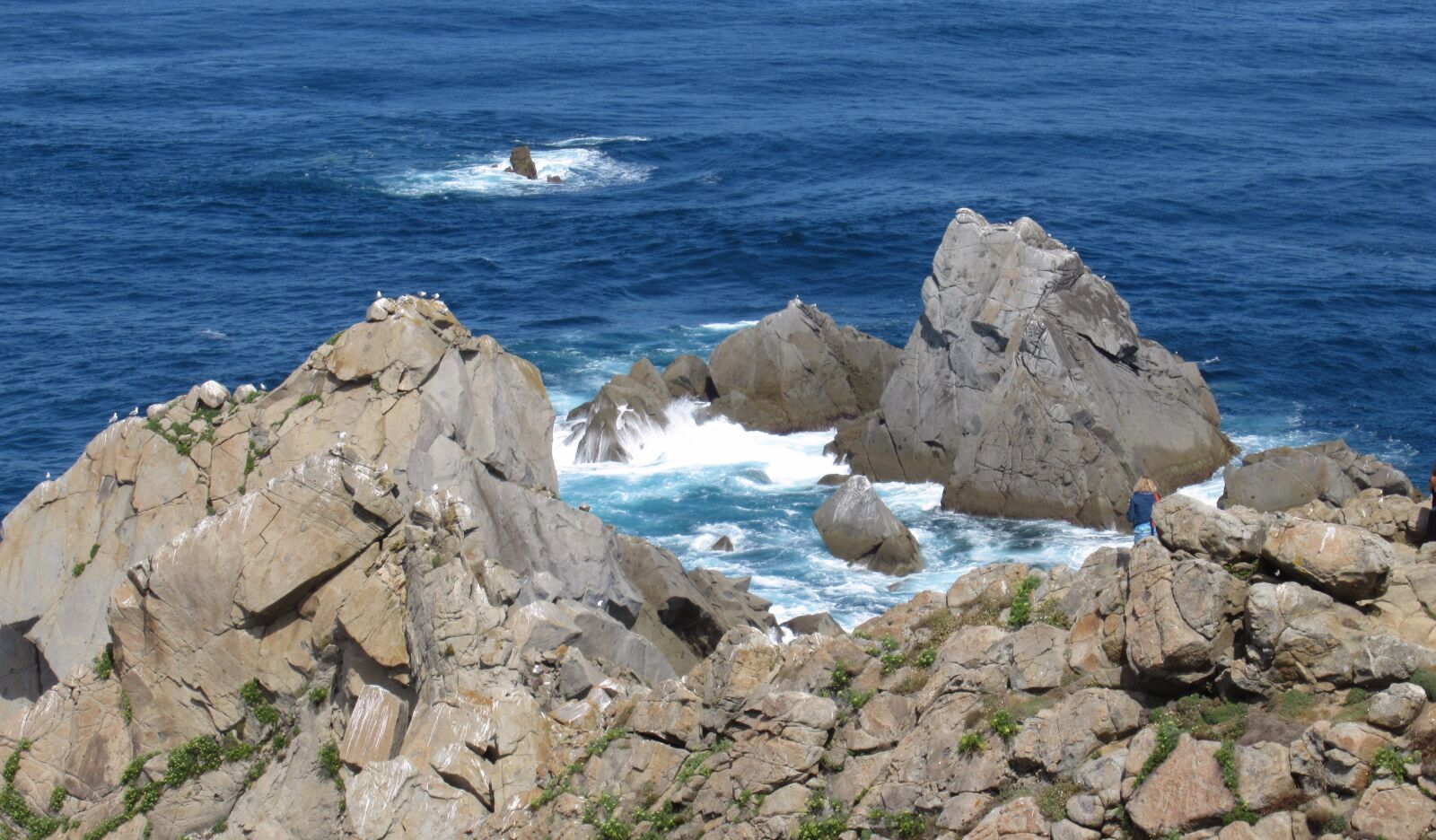 Canon PowerShot SX620 HS sample photo. Cabo ortegal, galicia, ortegal photography