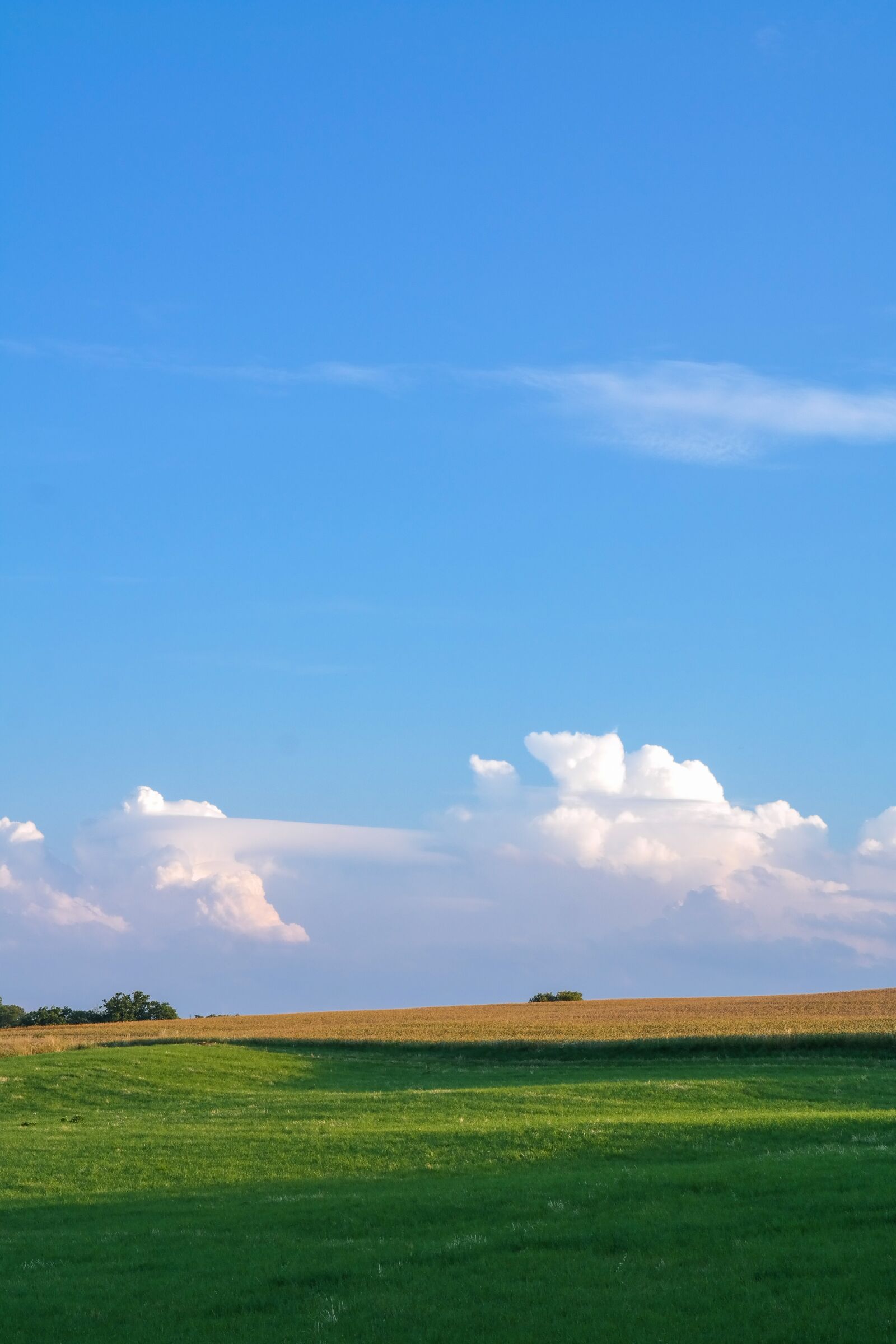 Samsung NX300 sample photo. Landscape, meadow, field photography