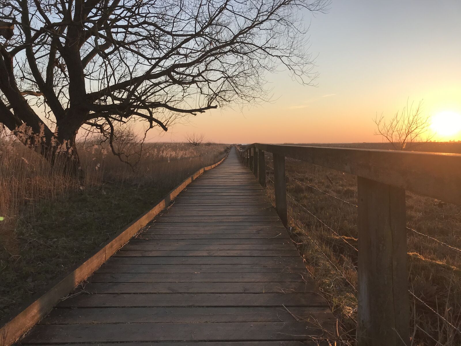 iPhone 7 back camera 3.99mm f/1.8 sample photo. Sunset, scania, sweden photography