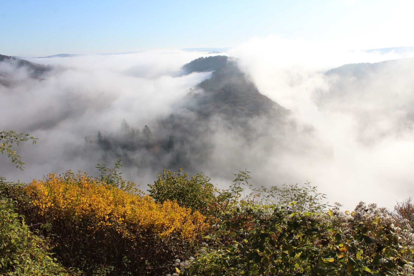 Canon EOS 1200D (EOS Rebel T5 / EOS Kiss X70 / EOS Hi) sample photo. Autumn, fog, landscape photography