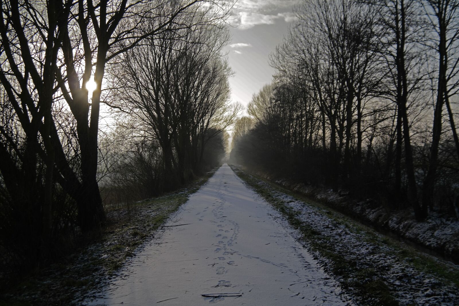 NX 18-200mm F3.5-6.3 sample photo. Wintry, northern germany, close photography