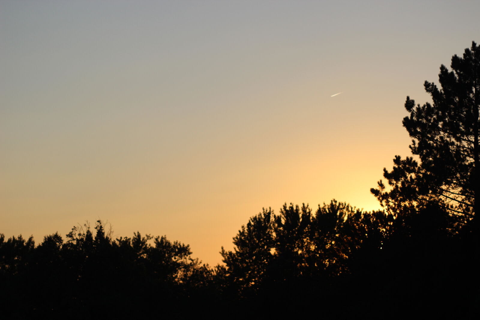 Canon EF 85mm F1.8 USM sample photo. Silhouette, sky, sunset, trees photography