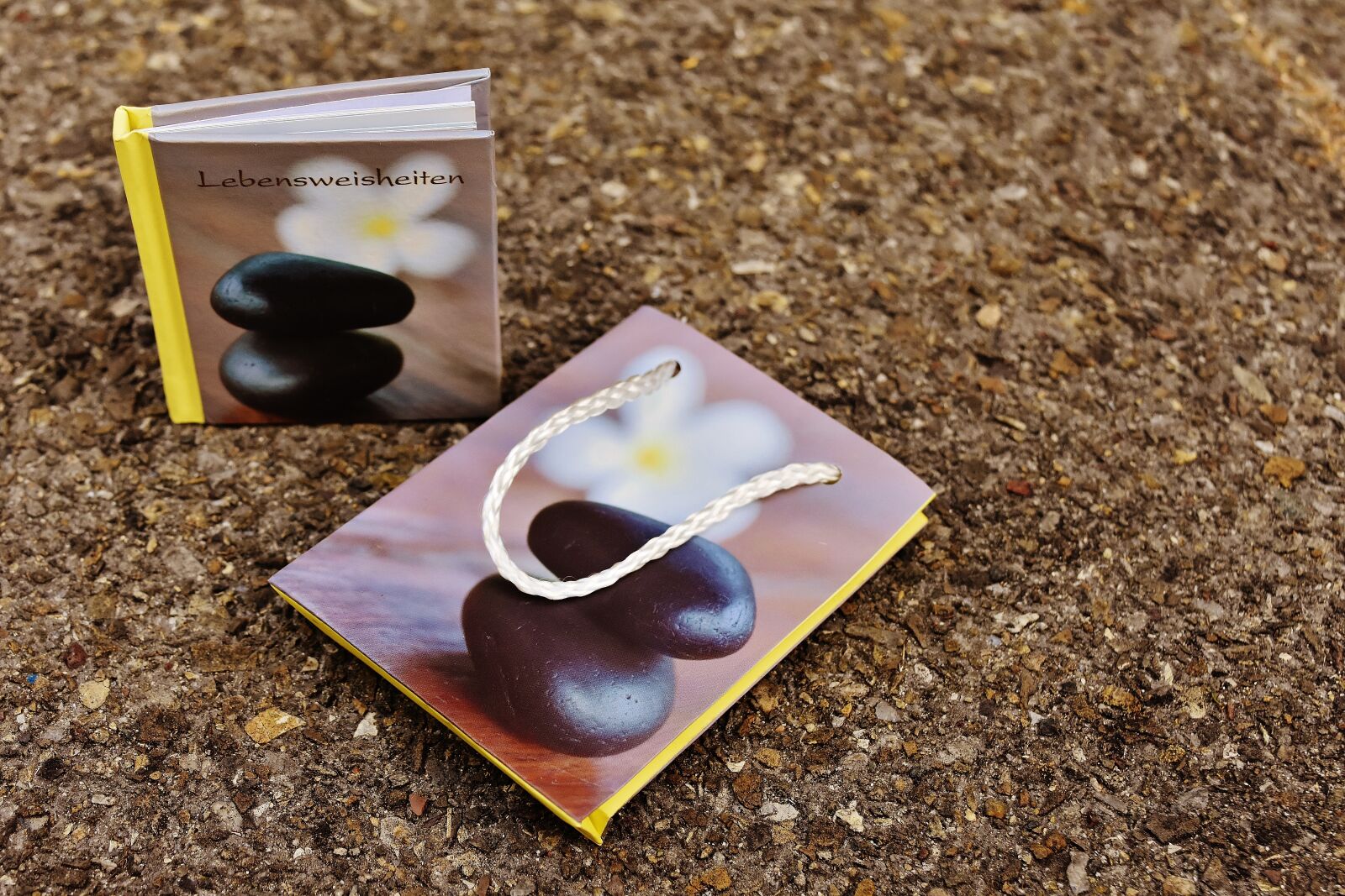 Nikon D7200 sample photo. Book, greeting card, live photography