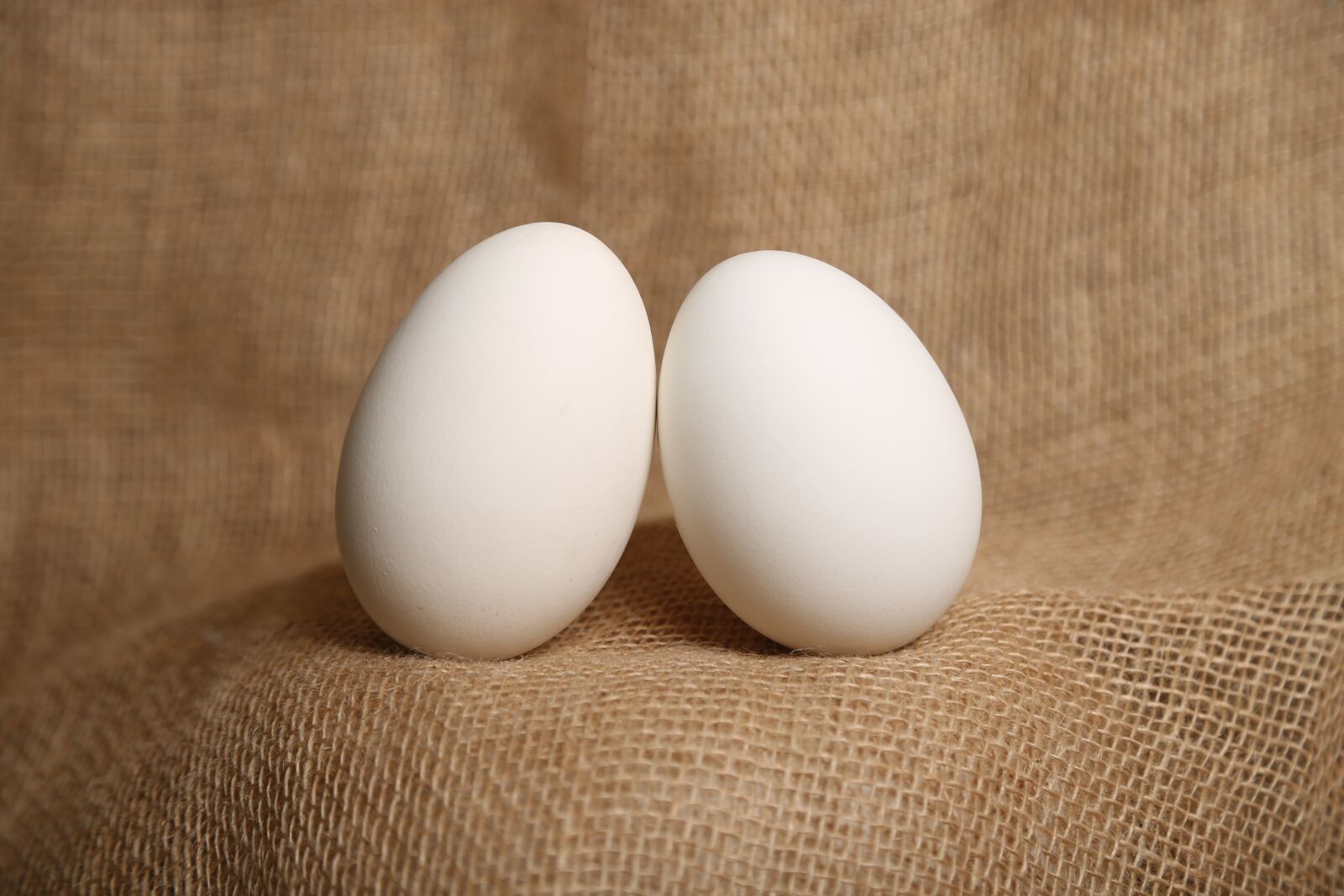 Canon EF 24-105mm F4L IS USM sample photo. Eggs, duck eggs, egg photography