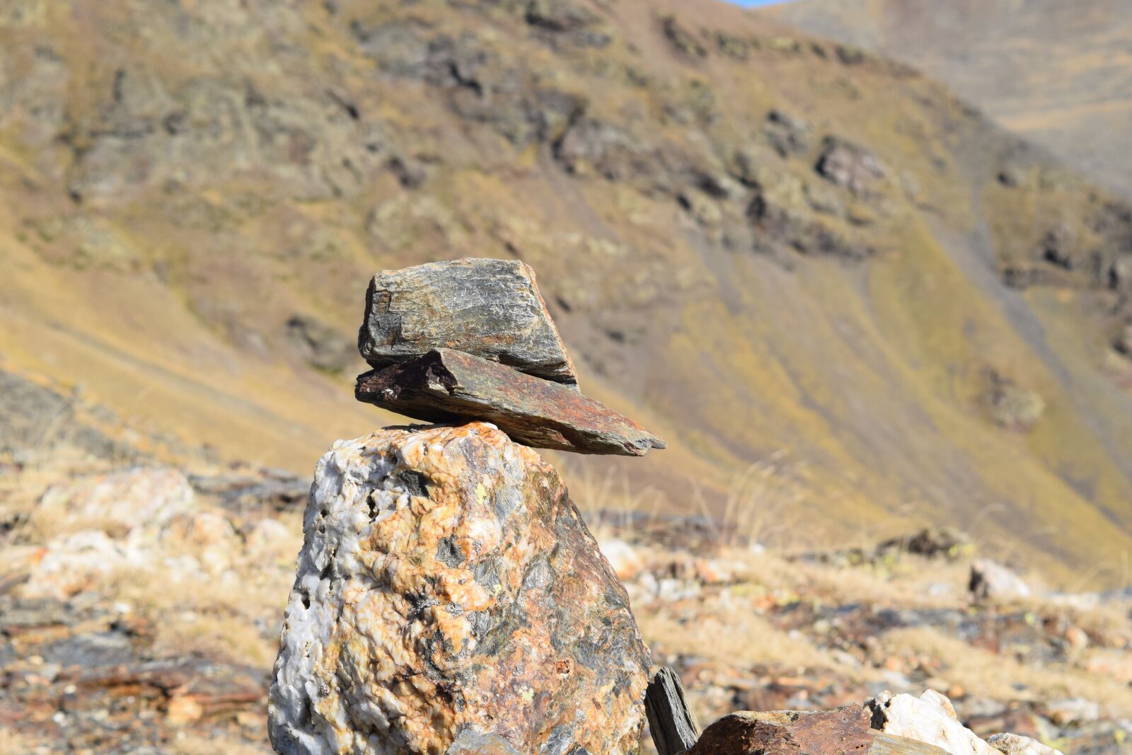 Nikon D5300 sample photo. Landscape, puigmal, nature photography