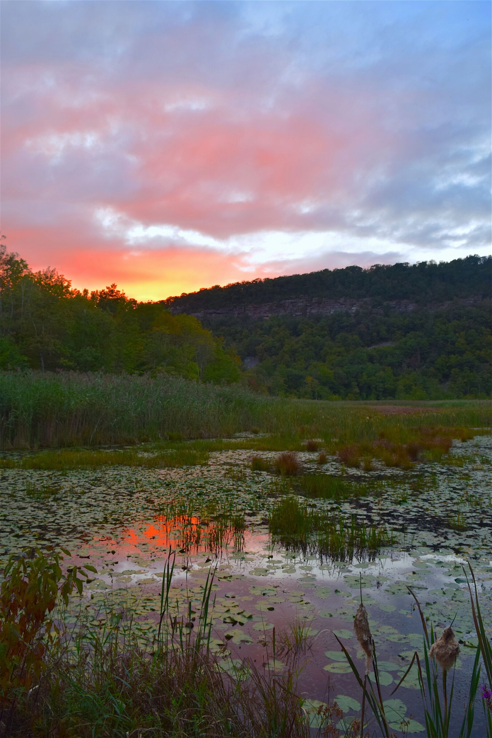 Nikon D3300 sample photo. Pond, sunset, sky photography