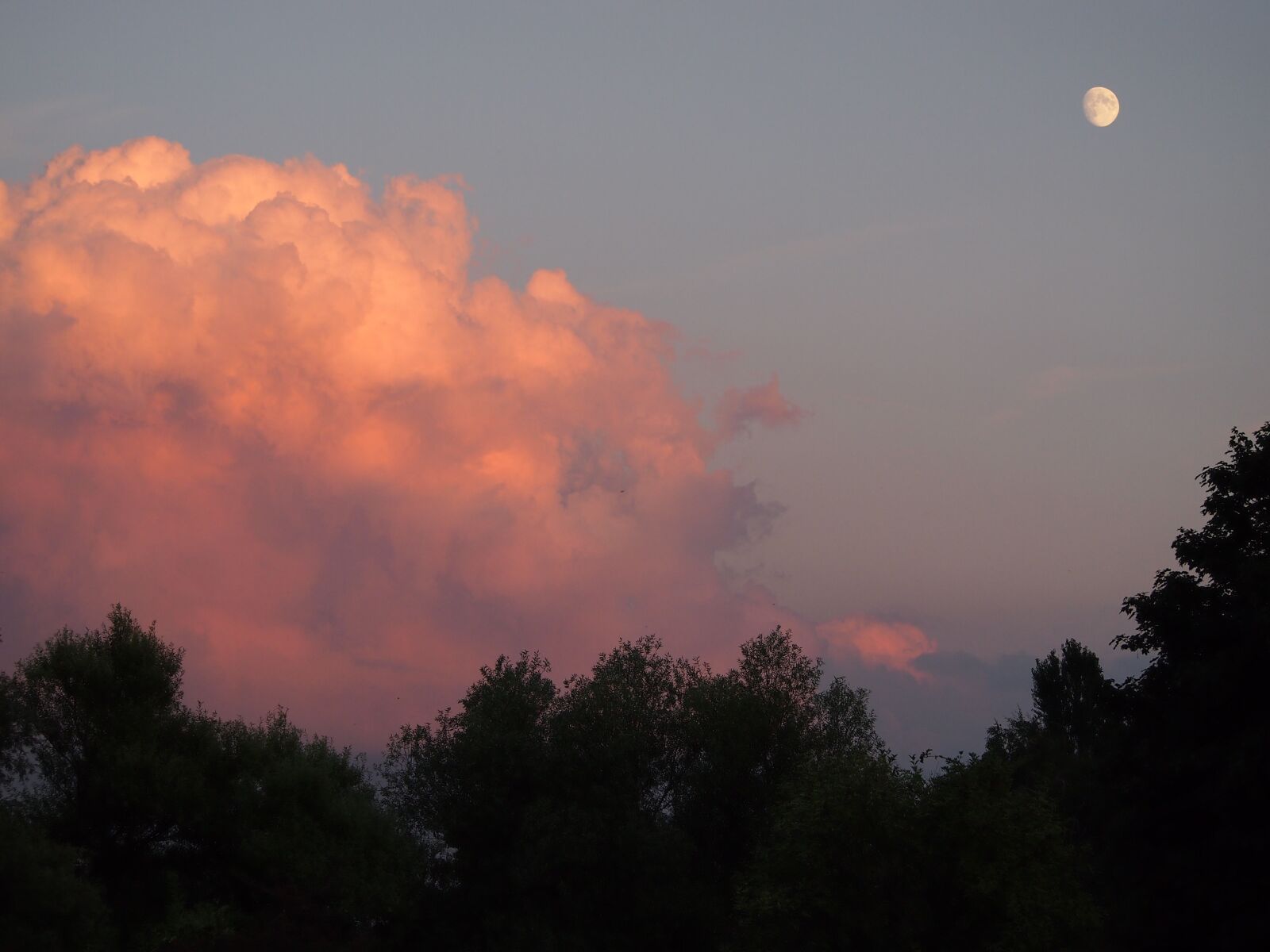 Olympus PEN E-PL3 sample photo. Clouds, moon, atmosphere photography