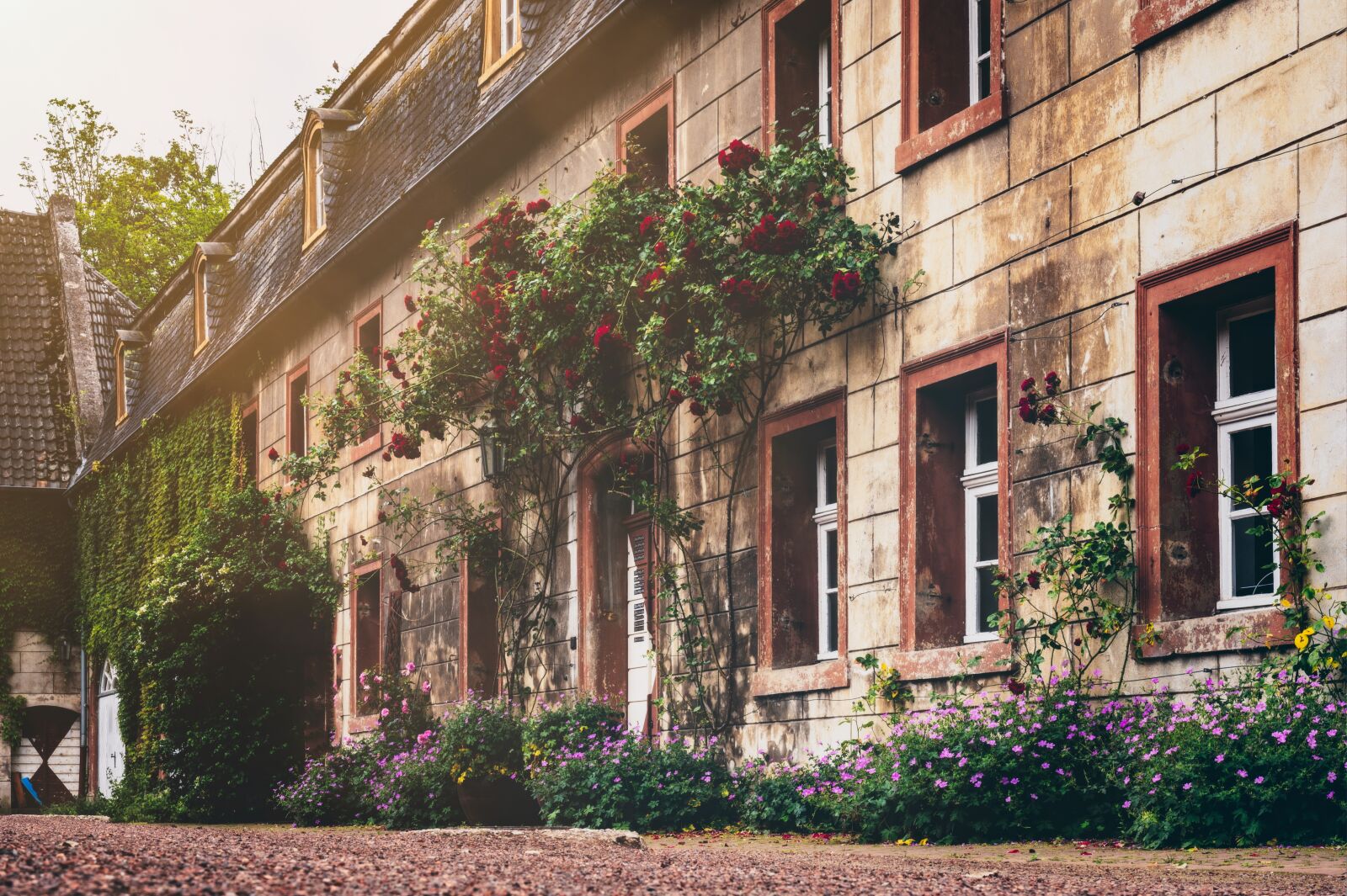 Nikon Z6 sample photo. House, old, building photography