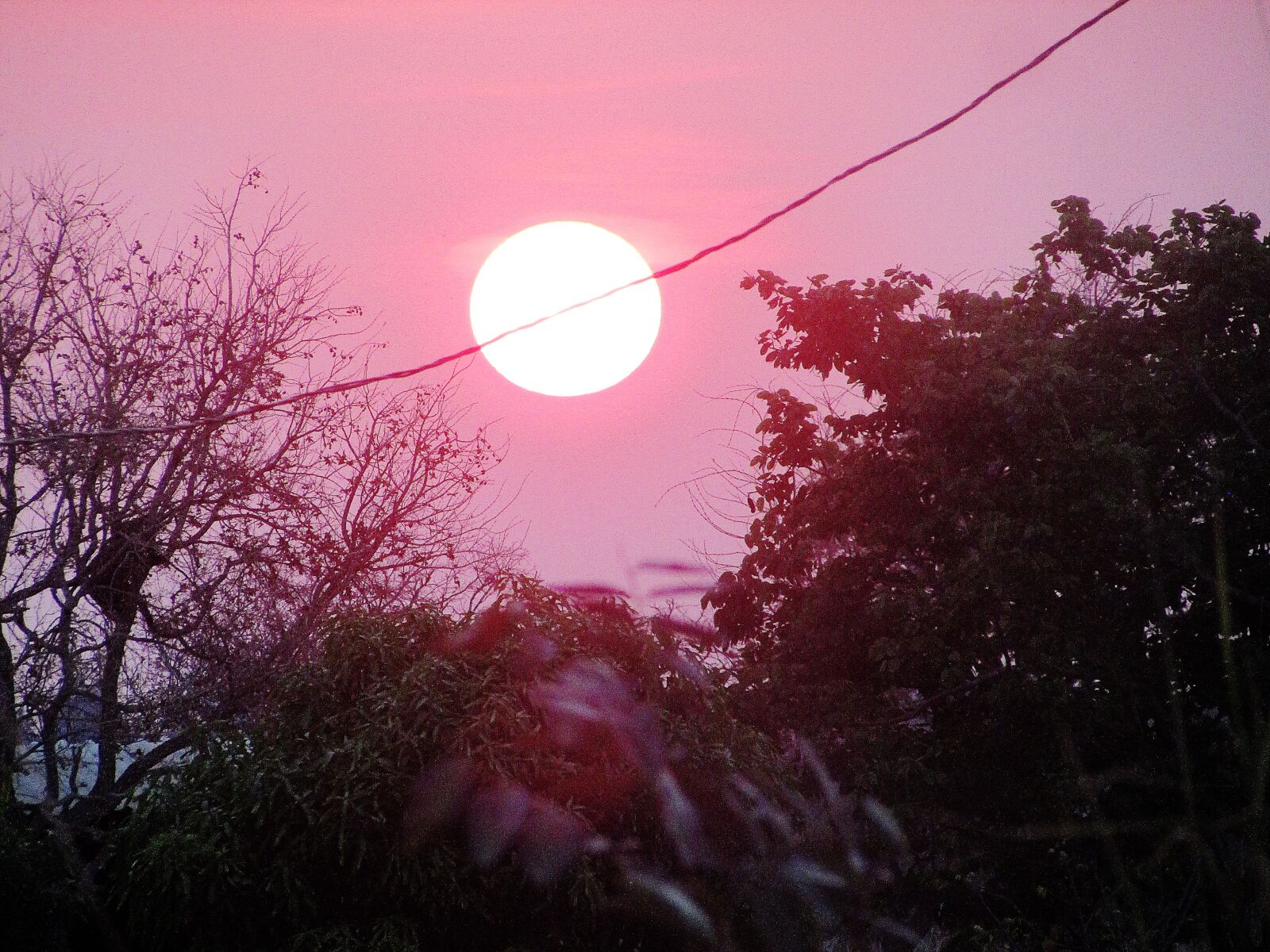 Canon PowerShot SX400 IS sample photo. Sunset, afternoon, sunny photography