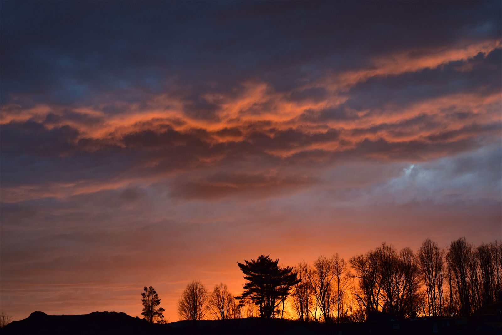 Nikon D3300 sample photo. Sunset, trees, landscape photography