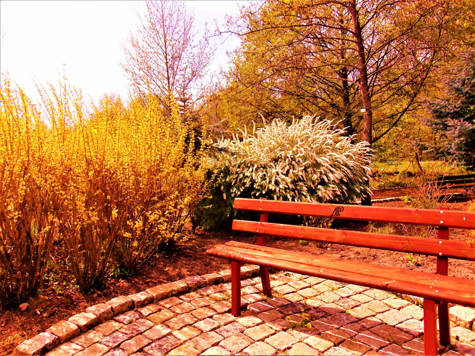 Sony Cyber-shot DSC-H300 sample photo. Autumn, nature, colors photography