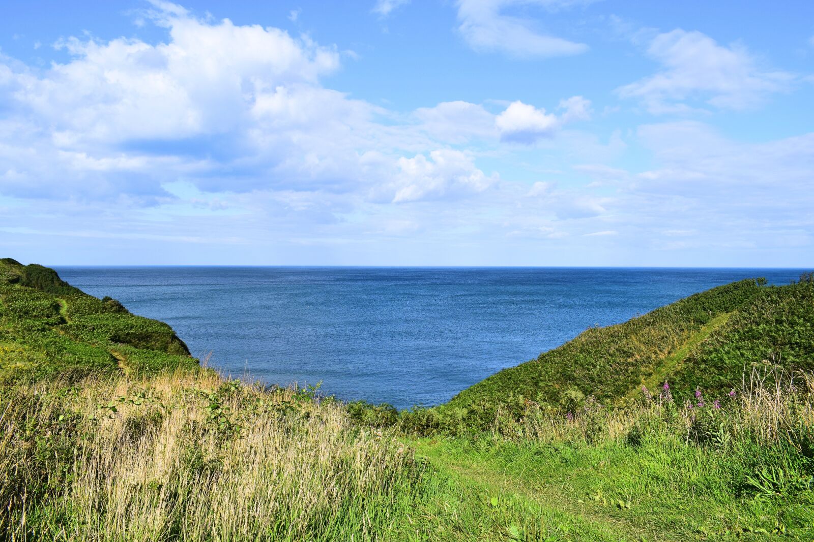 Nikon D3300 sample photo. Cliffs, nature, yorkshire photography