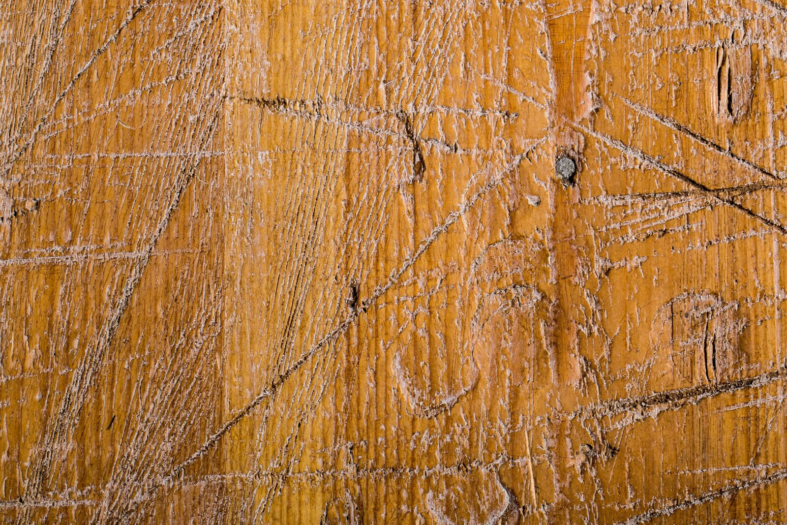 Canon EF 100mm F2.8L Macro IS USM sample photo. Wood, texture, ground photography