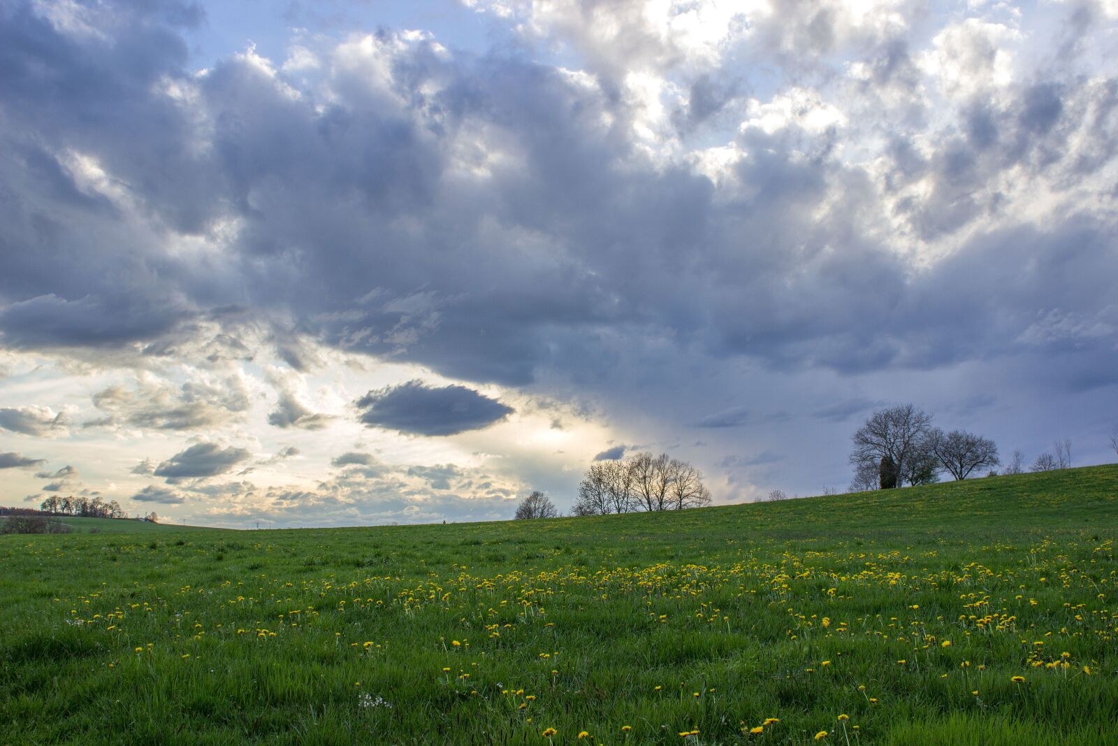 Canon EOS 600D (Rebel EOS T3i / EOS Kiss X5) sample photo. Sky, clouds, meadow photography