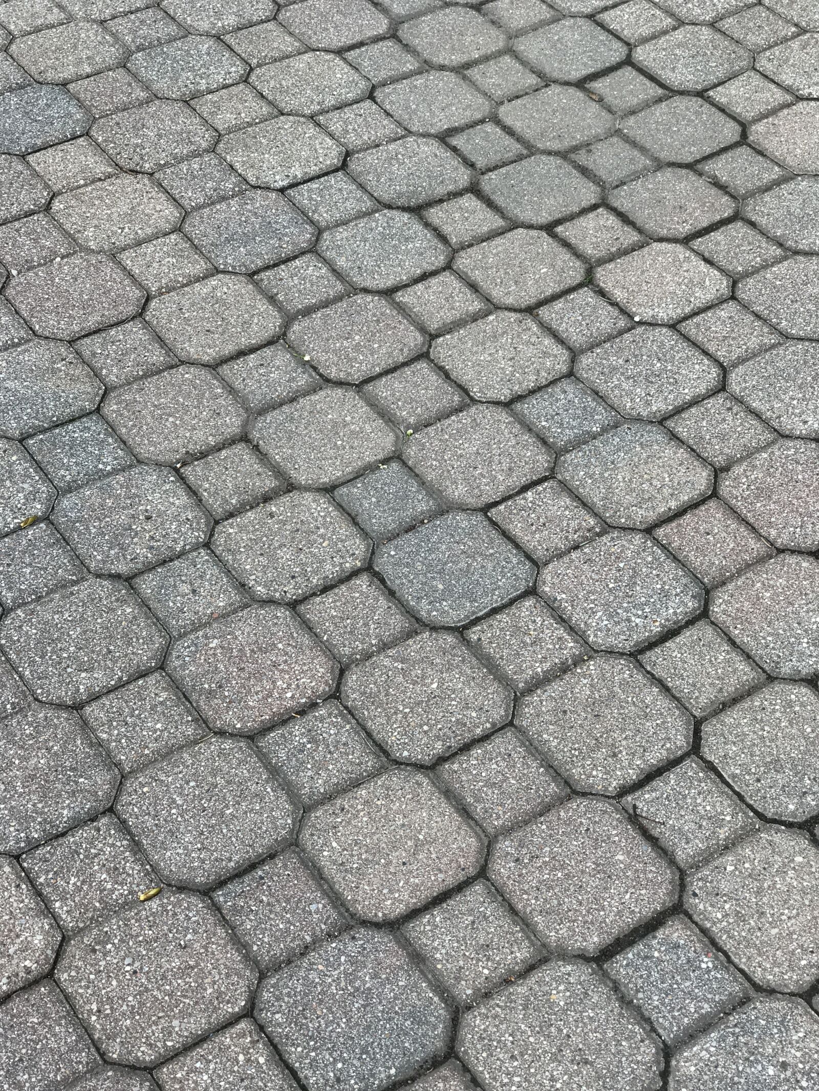 iPhone 7 Plus back dual camera 6.6mm f/2.8 sample photo. Pavement, stone, pattern photography