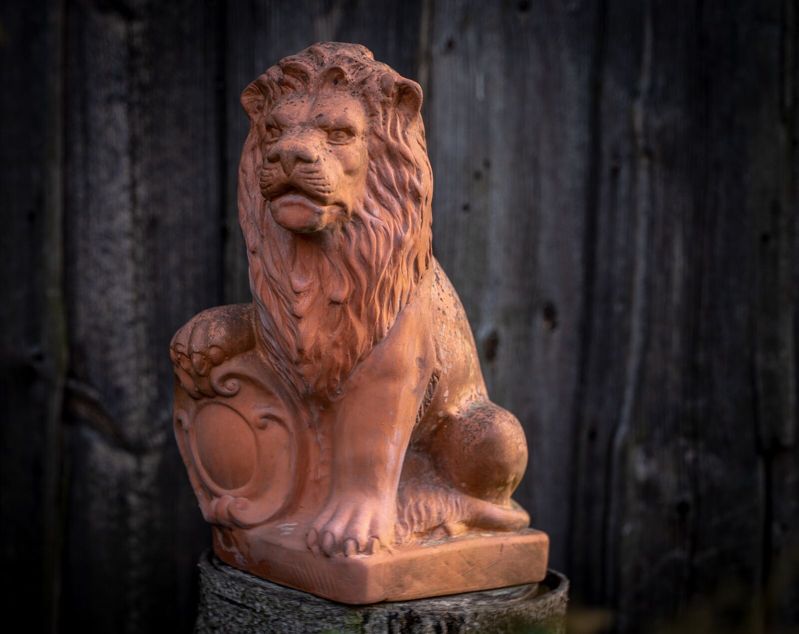 Sony a7 III + Tamron 28-75mm F2.8 Di III RXD sample photo. Terracotta, decoration, lion photography