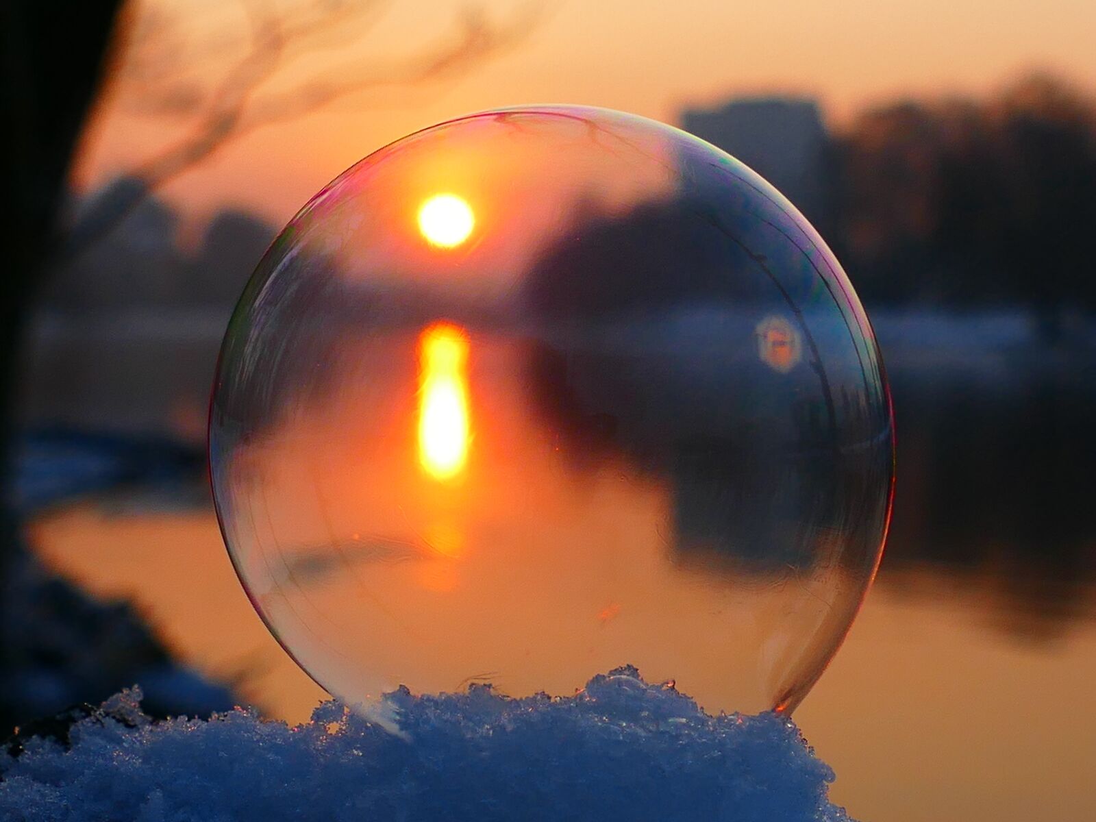 Panasonic Lumix DMC-FZ1000 sample photo. Soap bubble, winter, snow photography