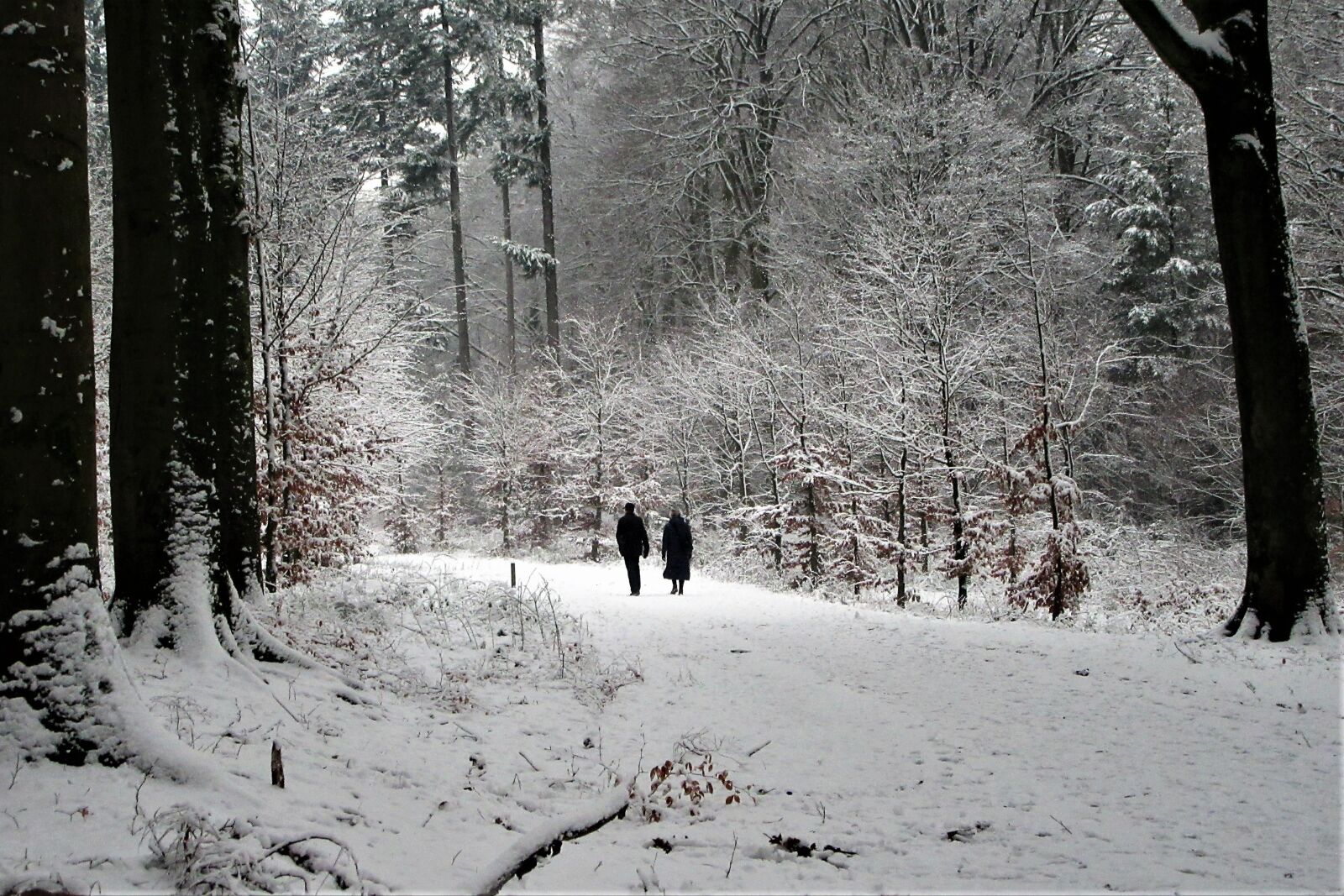 Canon PowerShot SX610 HS sample photo. Couple, seniors, hiking photography