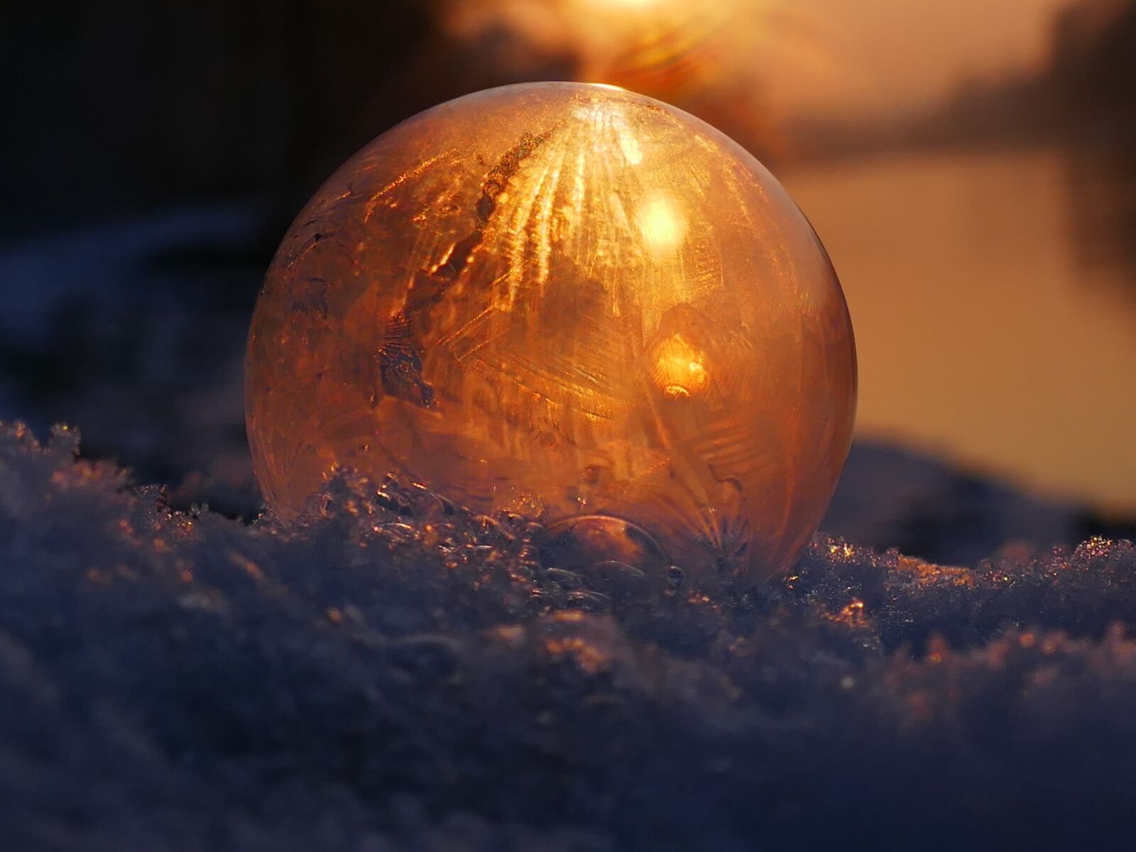 Panasonic DMC-TZ101 sample photo. Soap bubble, frozen, frost photography