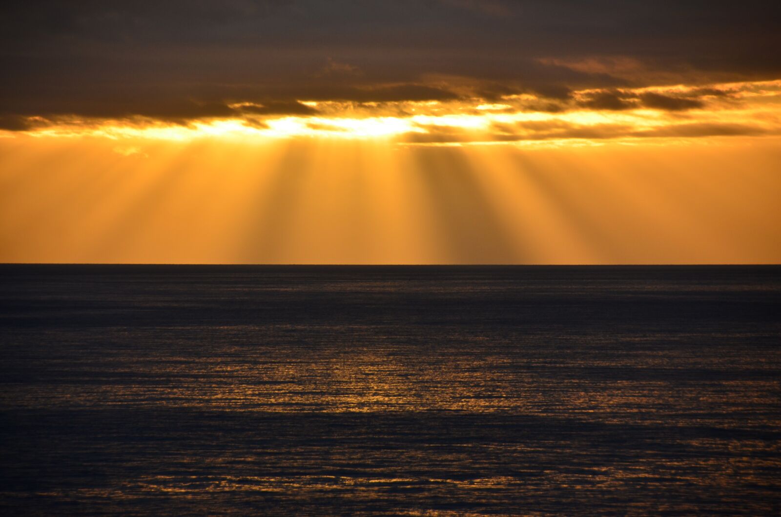 Nikon D5100 sample photo. Sunrise, sea, ship photography