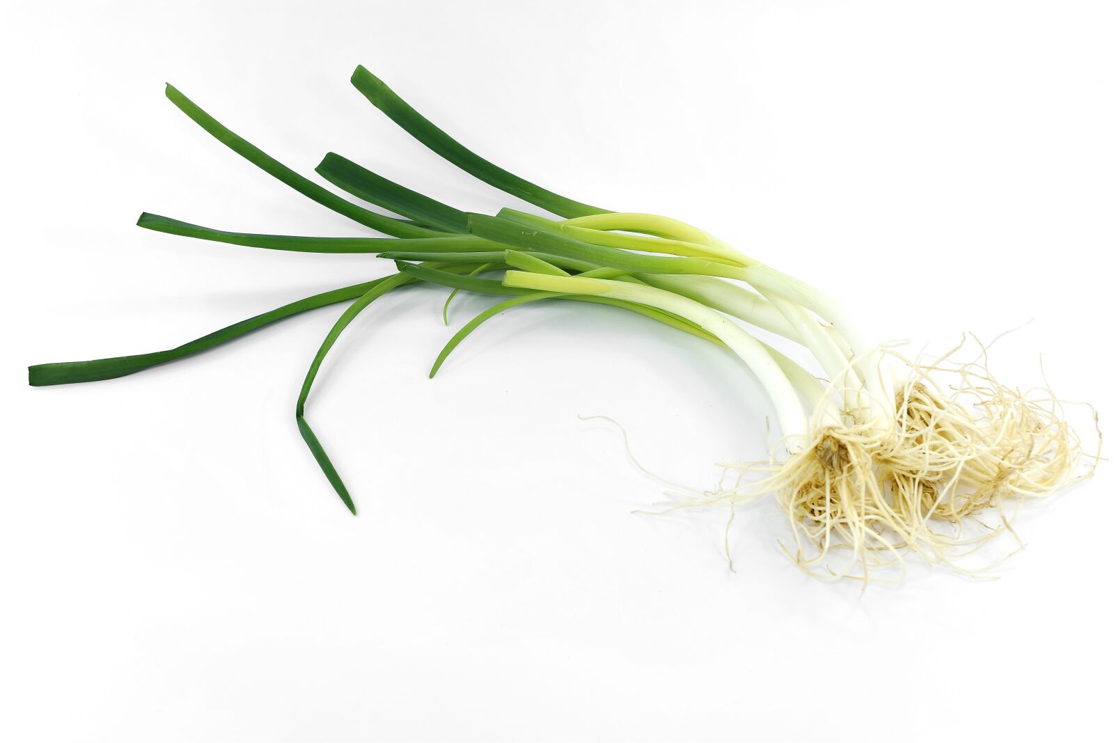 Nikon D5500 sample photo. Aromatic, chive, herb, onion photography