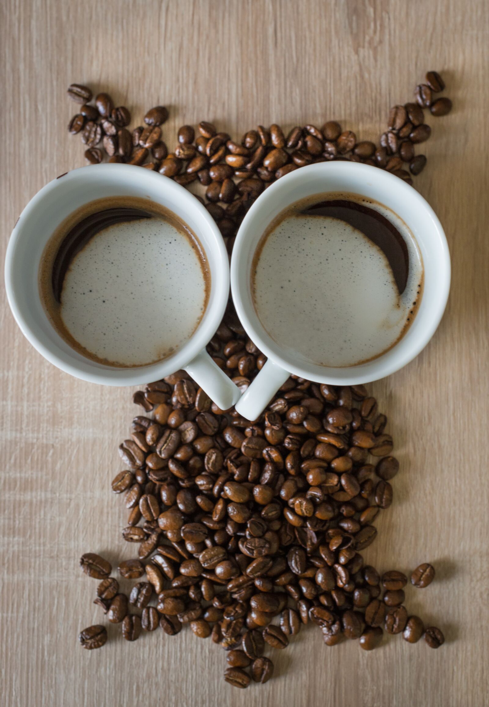 Nikon D610 sample photo. Owl, coffee, coffee cup photography