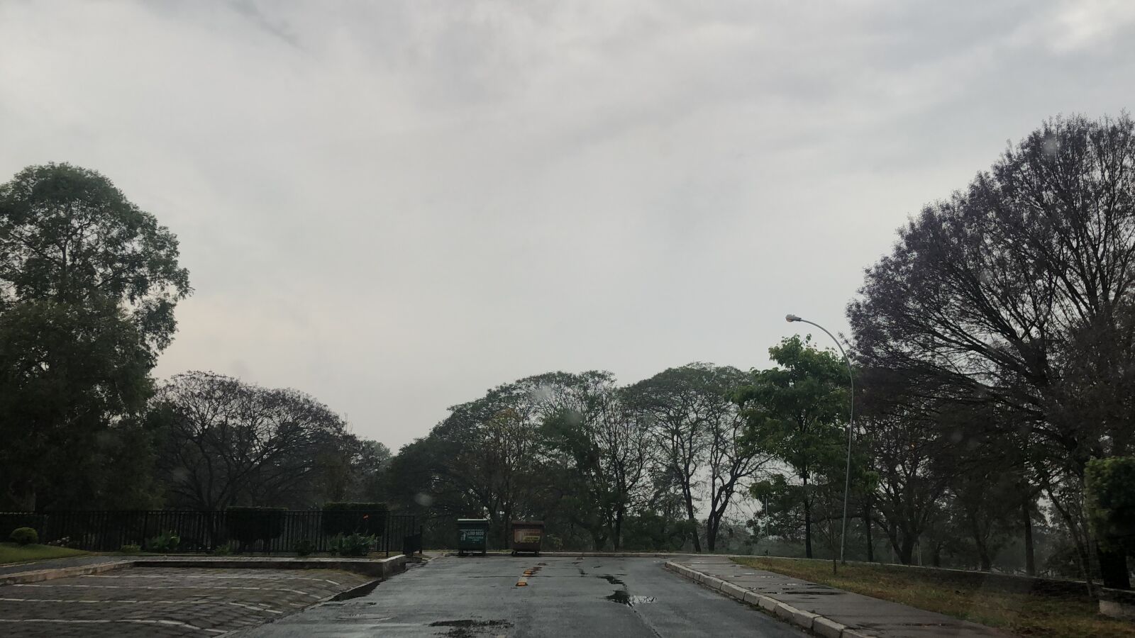iPhone X back camera 4mm f/1.8 sample photo. Brasilia, rainy weather, trees photography